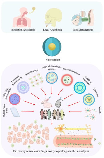 Pharmaceutics | Free Full-Text | Application Of Advanced Technologies ...