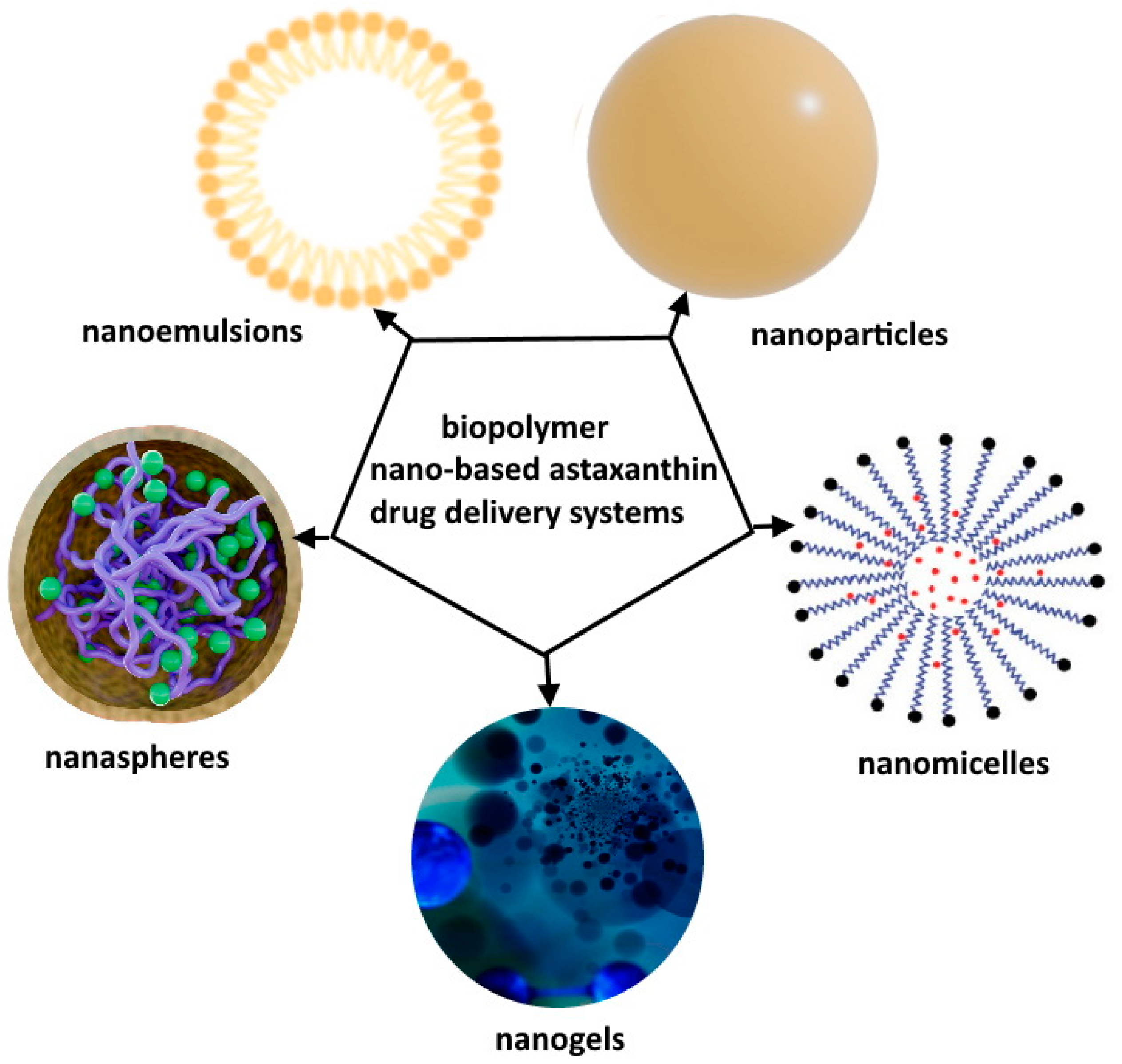 A Review Of Recent Developments In Biopolymer Nano Based Drug Delivery A Review Of Recent Developments In Biopolymer Nano Based Drug Delivery