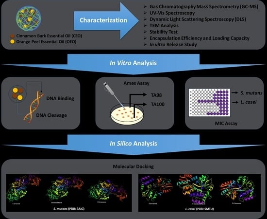 Production of Prophylactic Nanoformulation for Dental Caries and ...