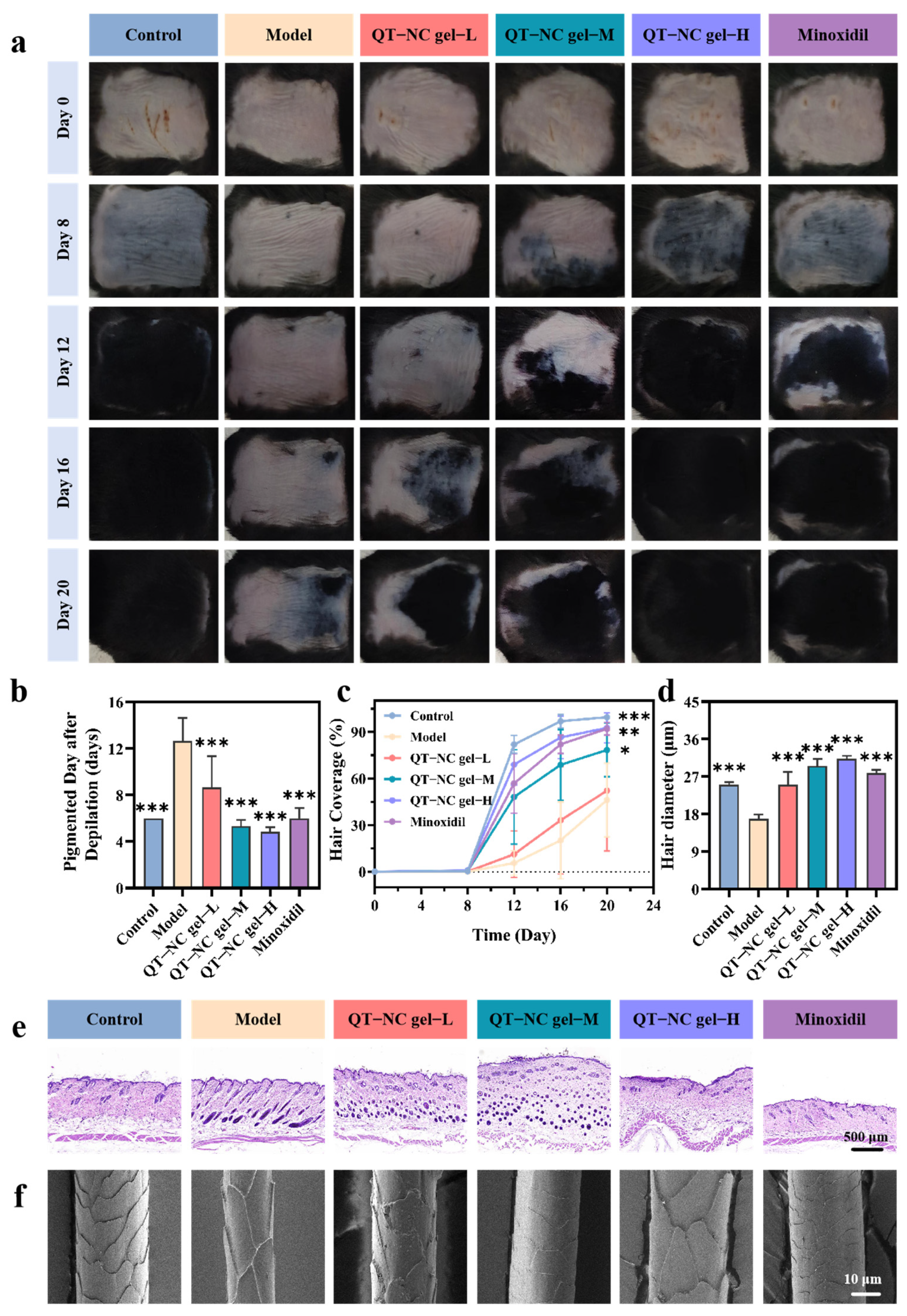 Quercetin Nanocrystal Gel: A Novel Topical Therapeutic