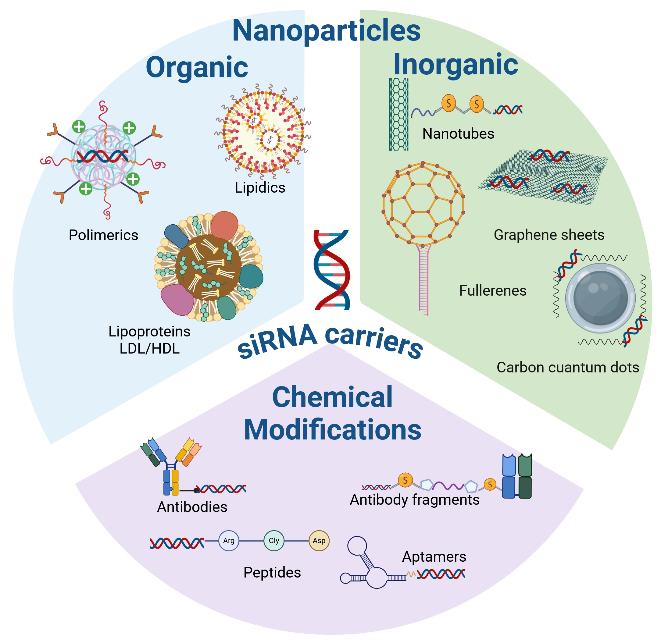 Үлкен тік емізік