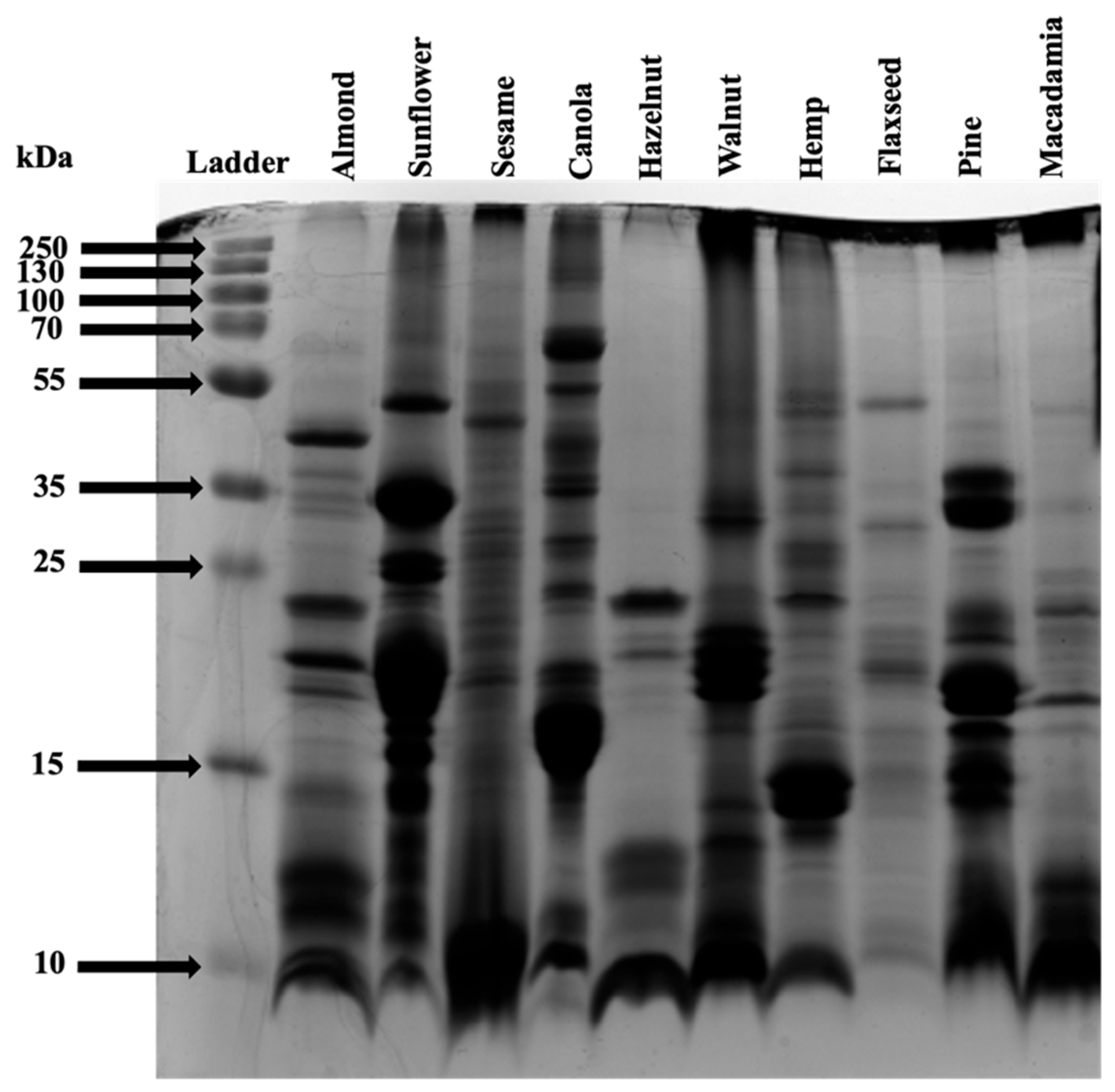 Natural Oleosomes from Nuts and Seeds: Structural Function and ...