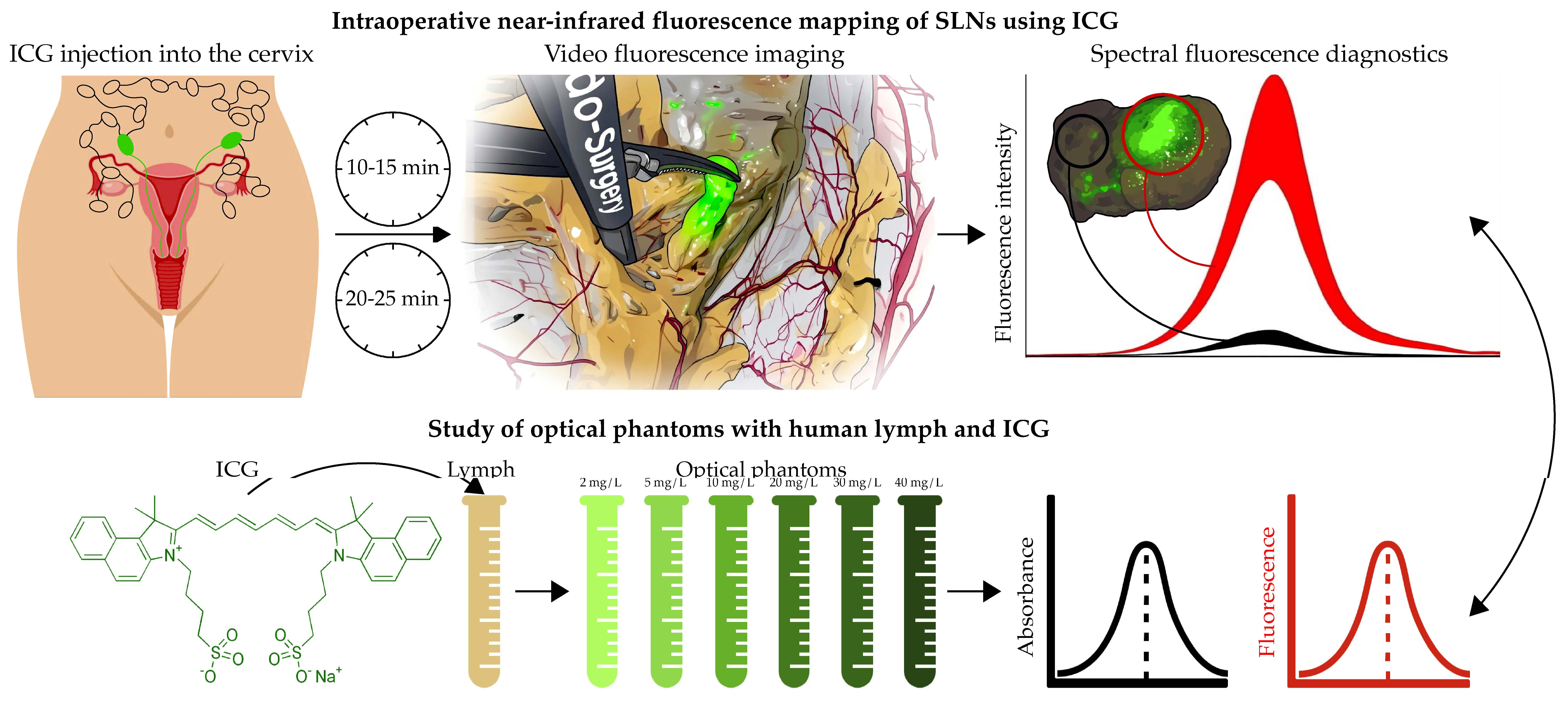 Optimization of Intraoperative Near-Infrared Fluorescence Mapping with ...