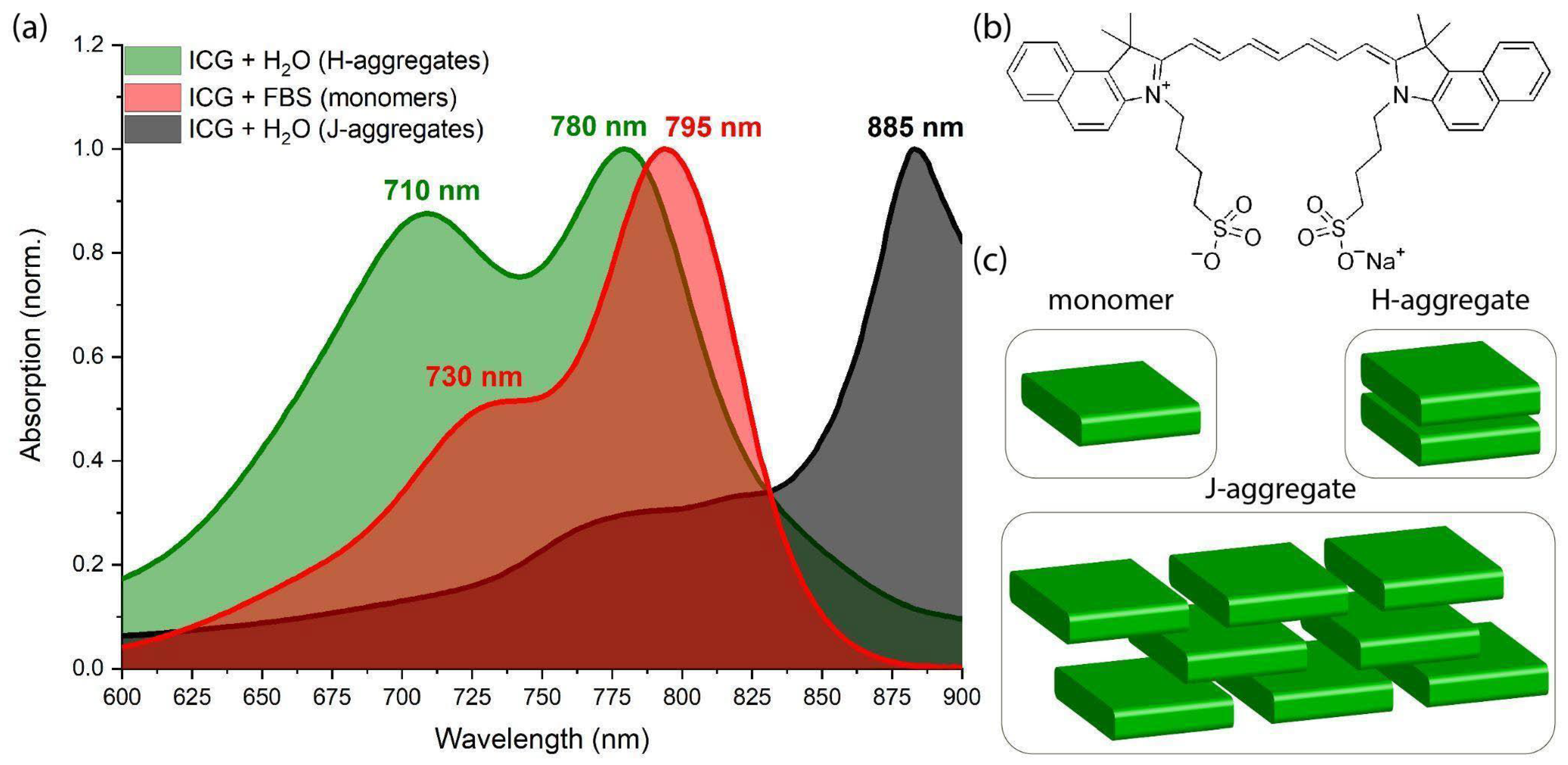 Optimization of Intraoperative Near-Infrared Fluorescence Mapping with ...