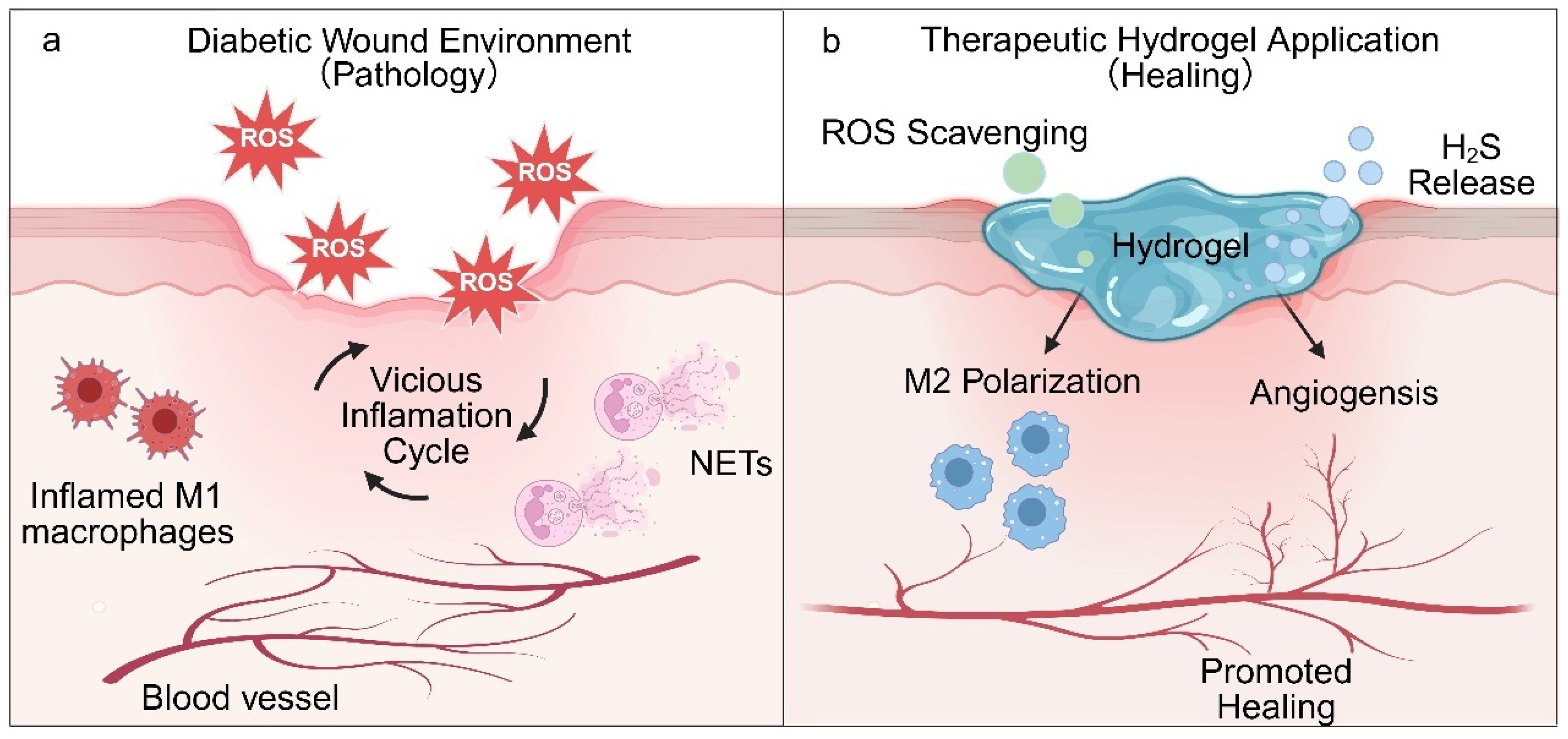 Novel AI-Driven Precision Strategies in Diabetic Wound Healing ...