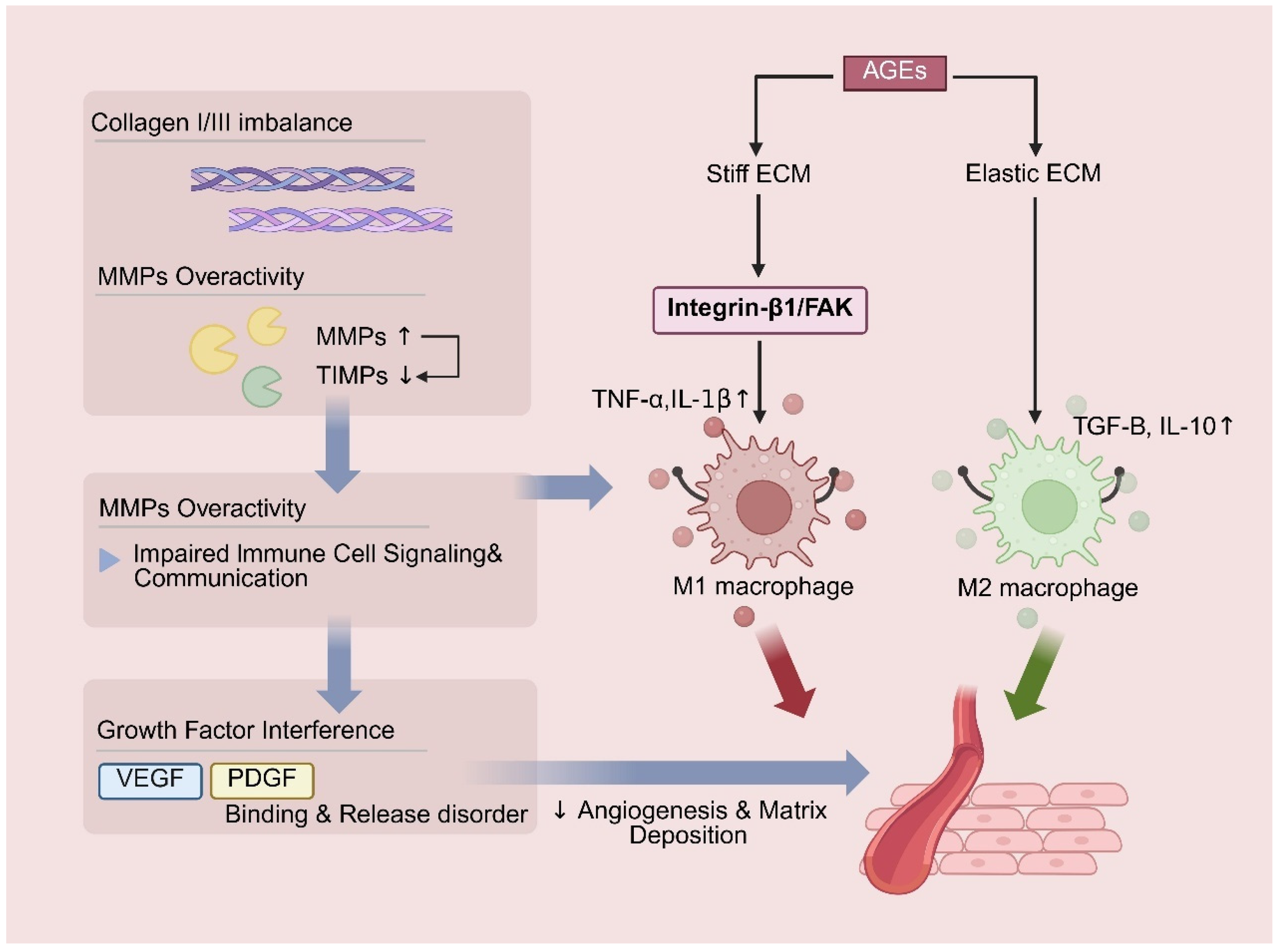 Novel AI-Driven Precision Strategies in Diabetic Wound Healing ...