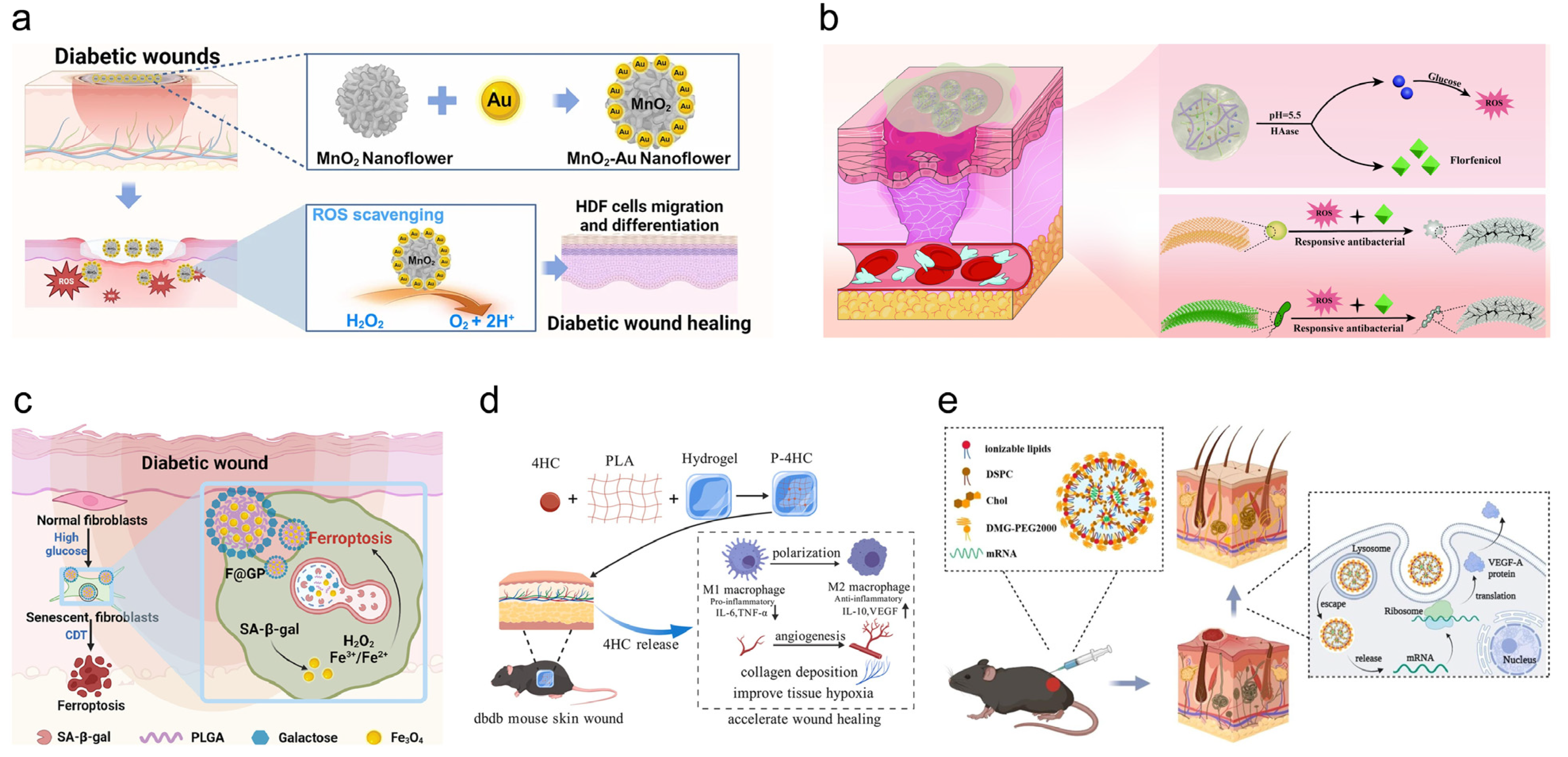 Novel AI-Driven Precision Strategies in Diabetic Wound Healing ...
