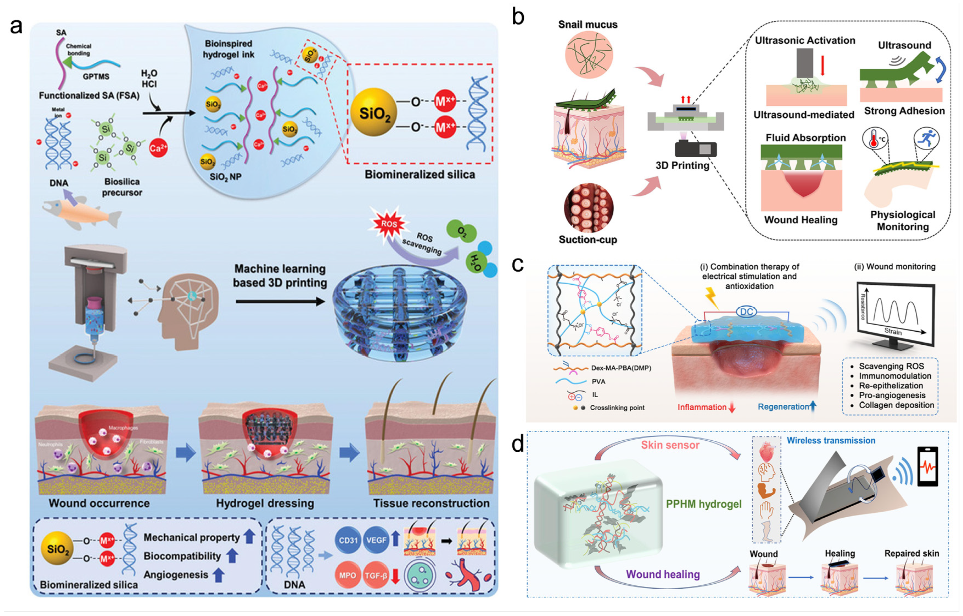 Novel AI-Driven Precision Strategies in Diabetic Wound Healing ...