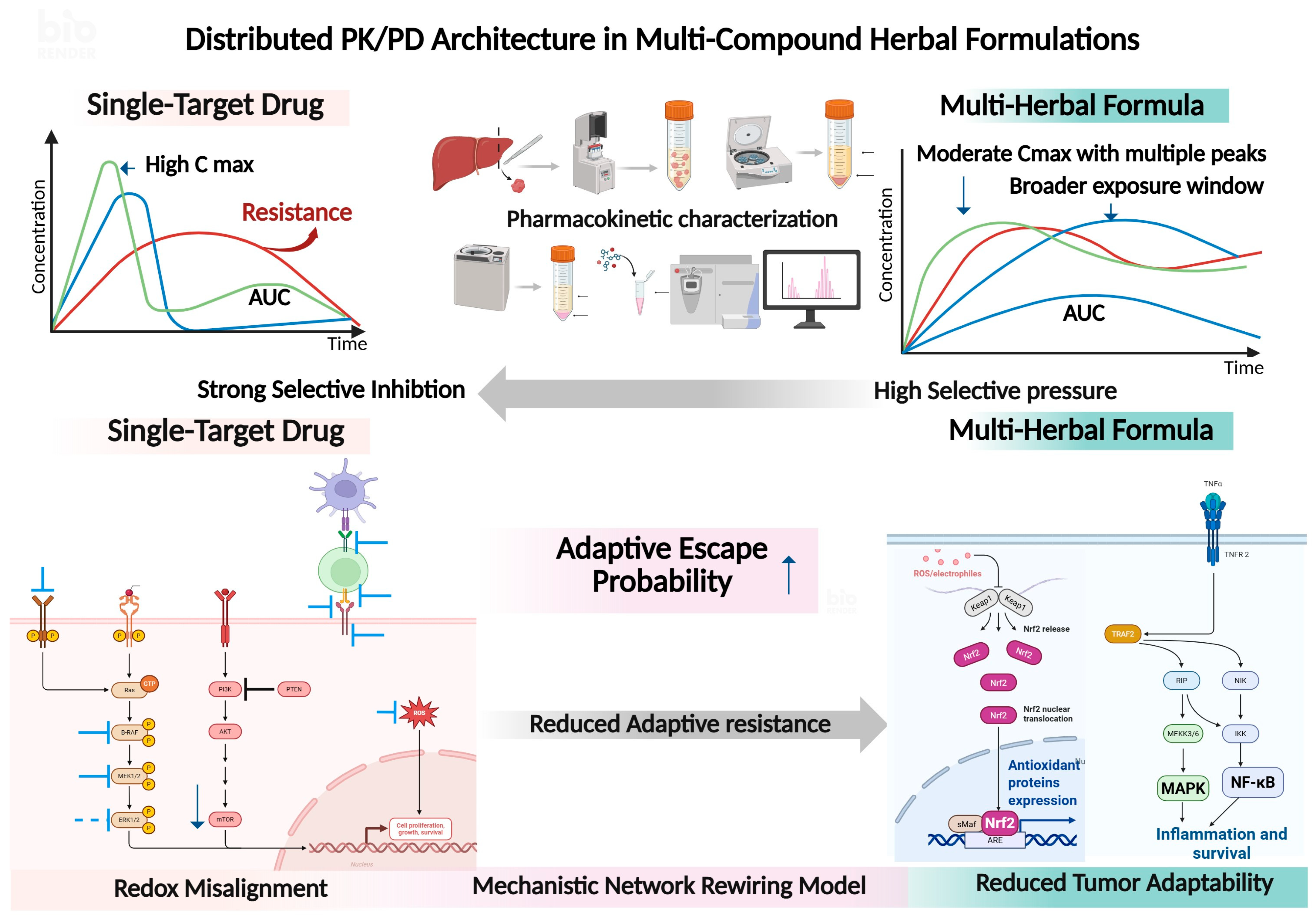 Distributed Pharmacodynamic Architecture in Multi-Component Herbal ...