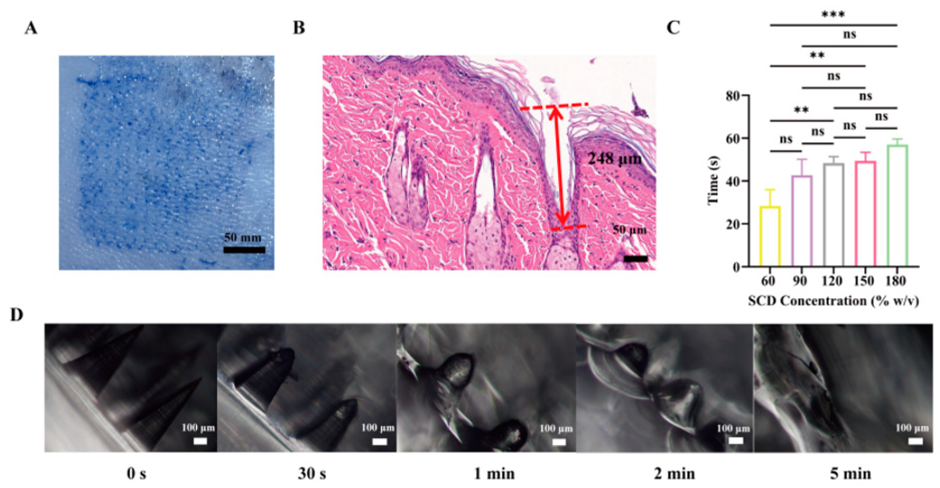 Fabrication and Evaluation of Rapidly Dissolving Microneedles Loaded ...