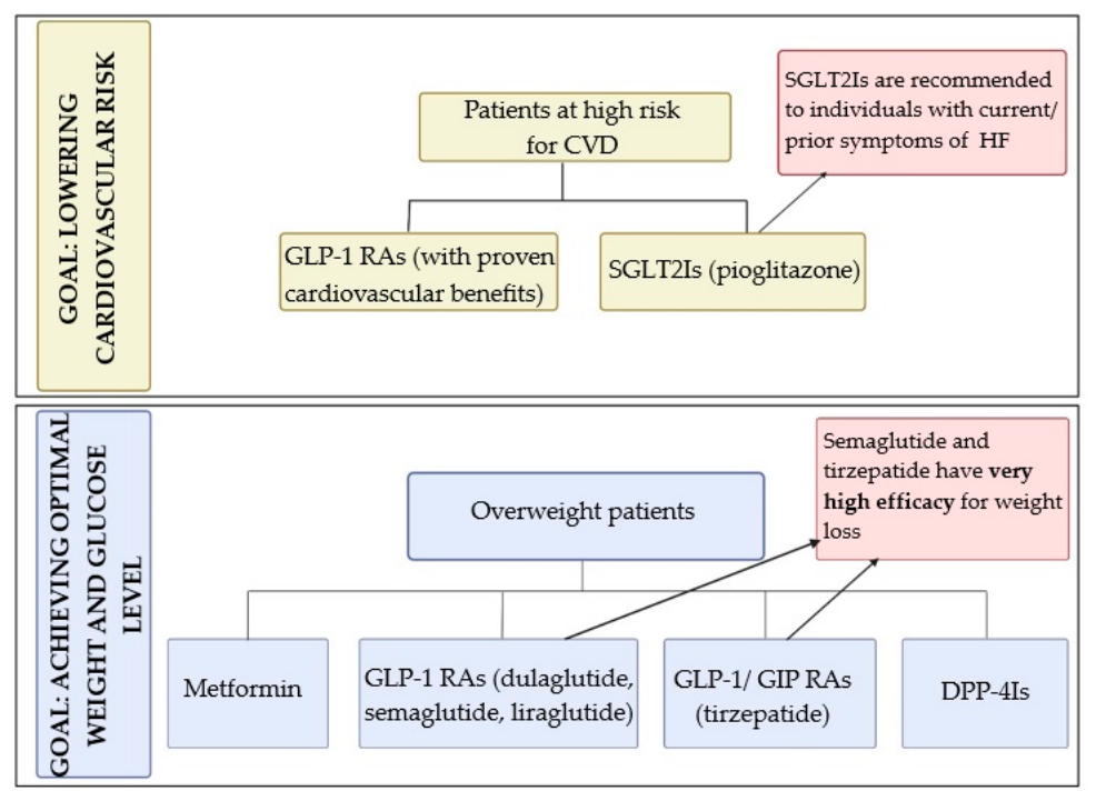 Diabetes Mellitus and Stroke: Pathophysiological Connections and ...