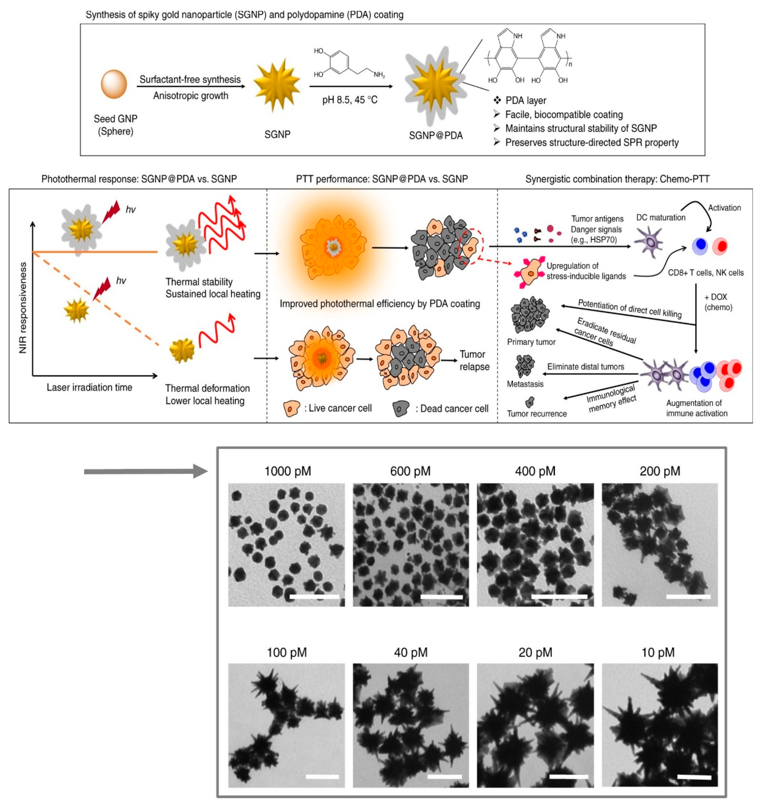 Polymeric Nano Drug Delivery Systems for Overcoming Tumor ...