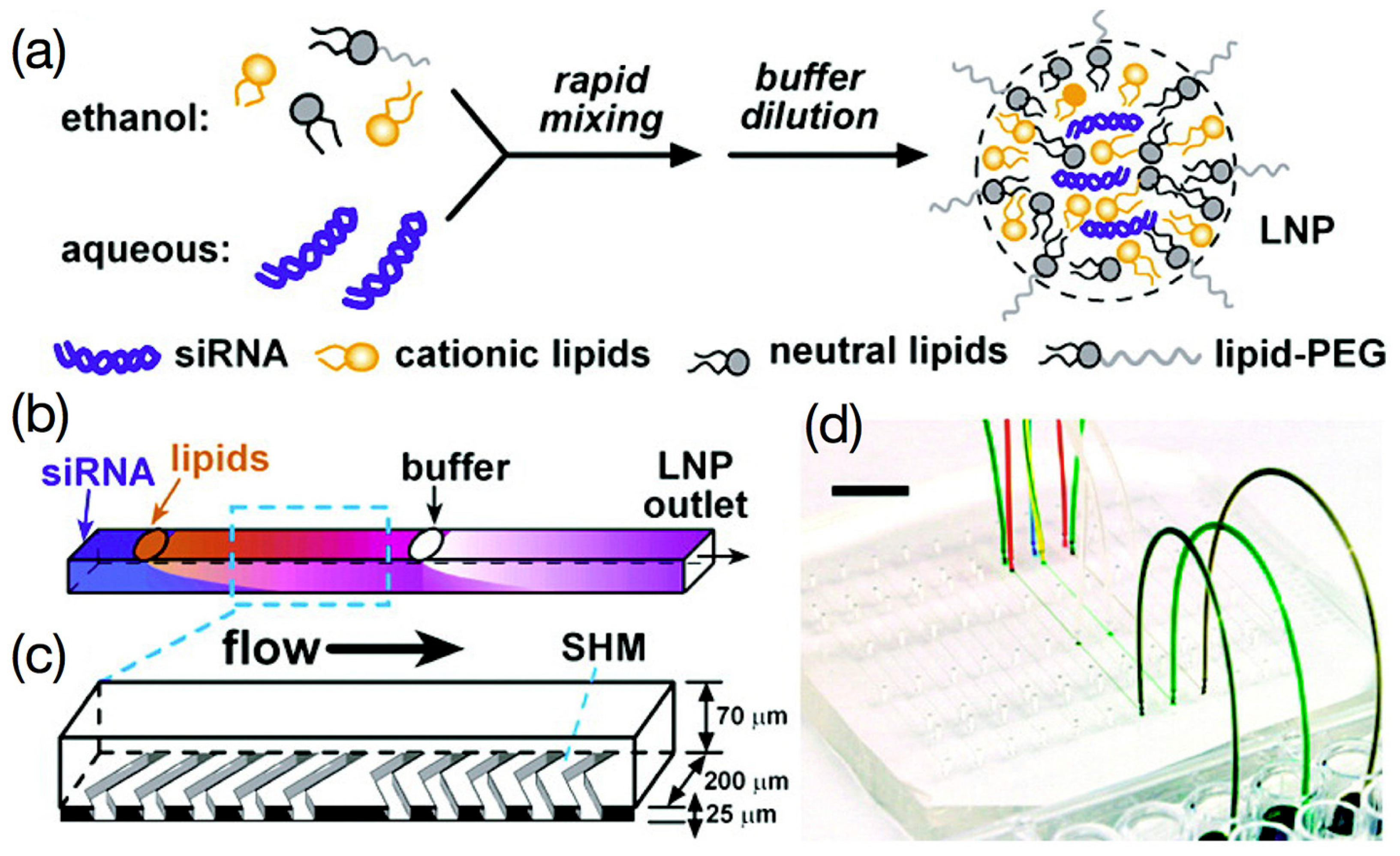 Microfluidic-Driven Assembly of RNA Nanocomplexes: Design, Process ...