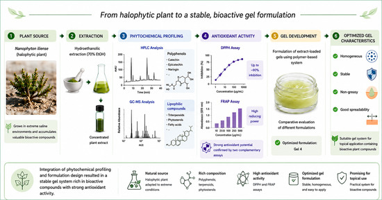 Development and Characterization of a Nanophyton iliense-Based Gel for Topical Application