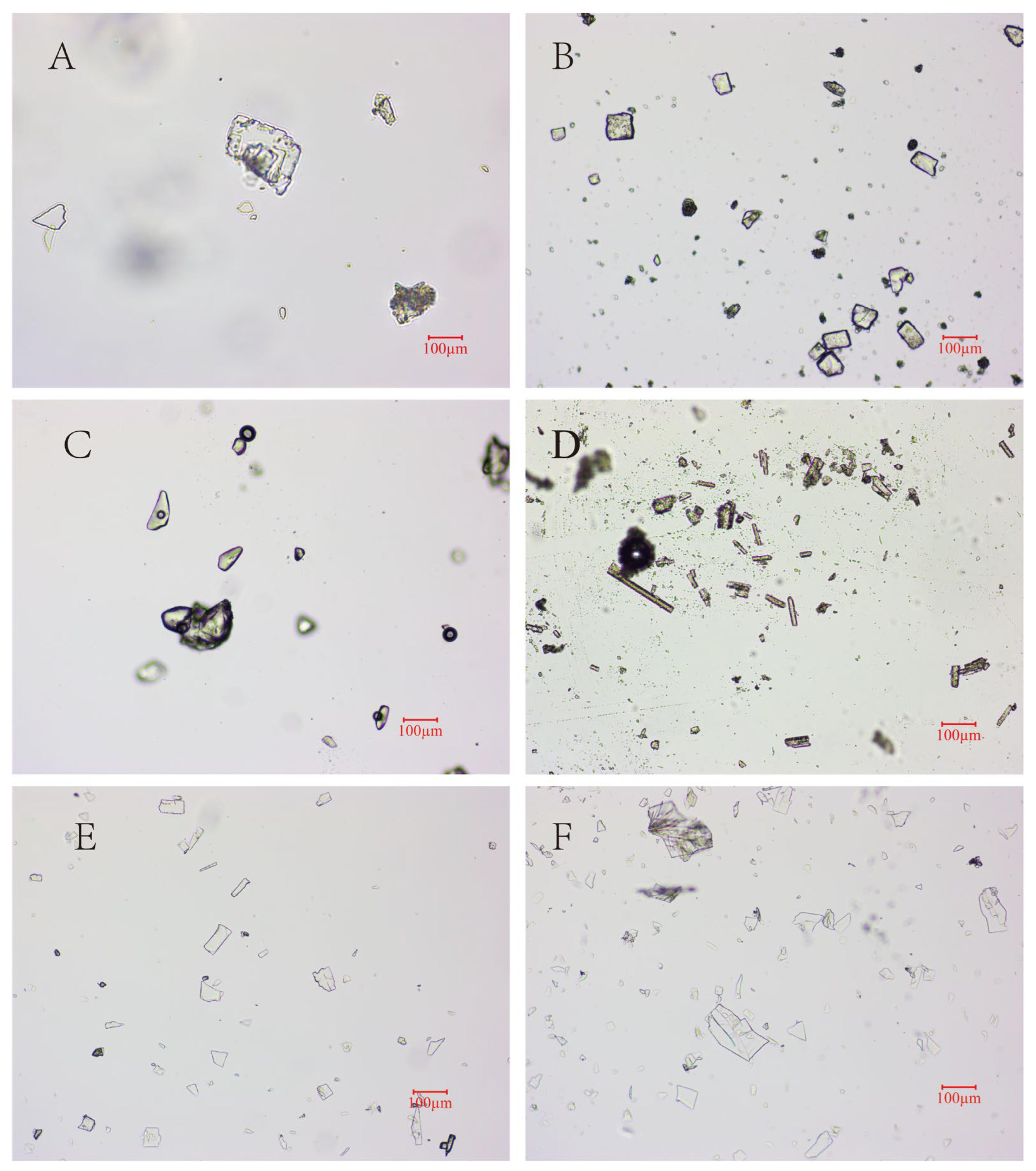 Prep Clinical Form.pdf Preparation and Investigation of Solvatomorphs of Anti-Tumor Candidate ...