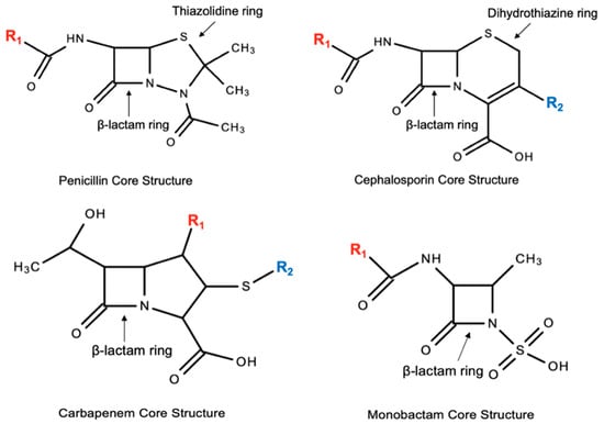 Regnbue mild råb op Pharmacy | Free Full-Text | Cephalosporins: A Focus on Side Chains and  β-Lactam Cross-Reactivity