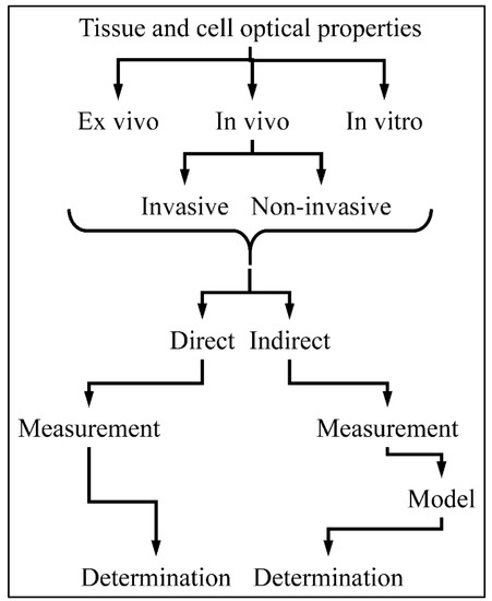 Optics Biophys Physical and Methodological Perspectives on the Optical Properties of ...