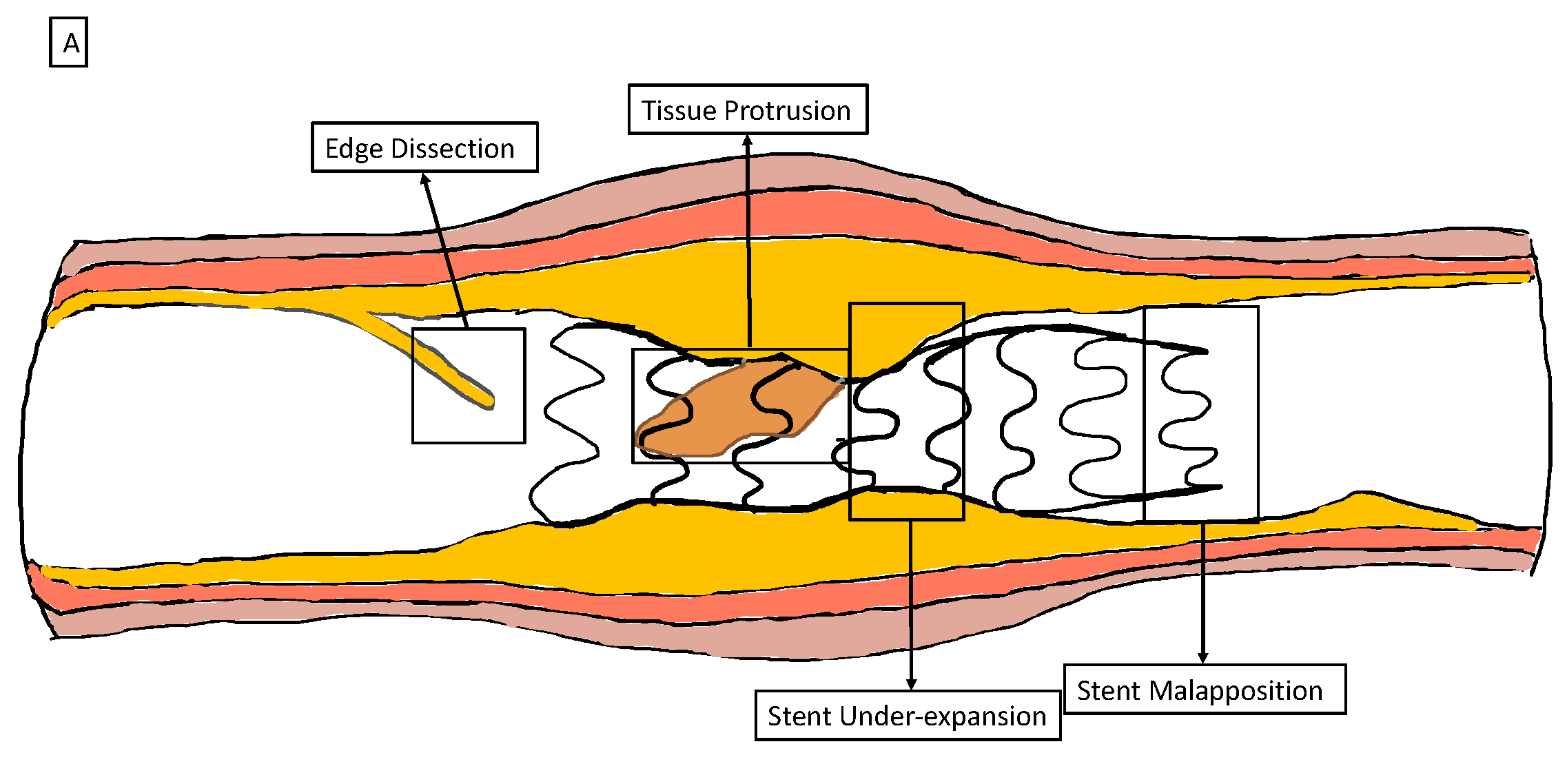 Current Applications And New Perspectives In Optical Coherence Current Applications And New Perspectives In Optical Coherence