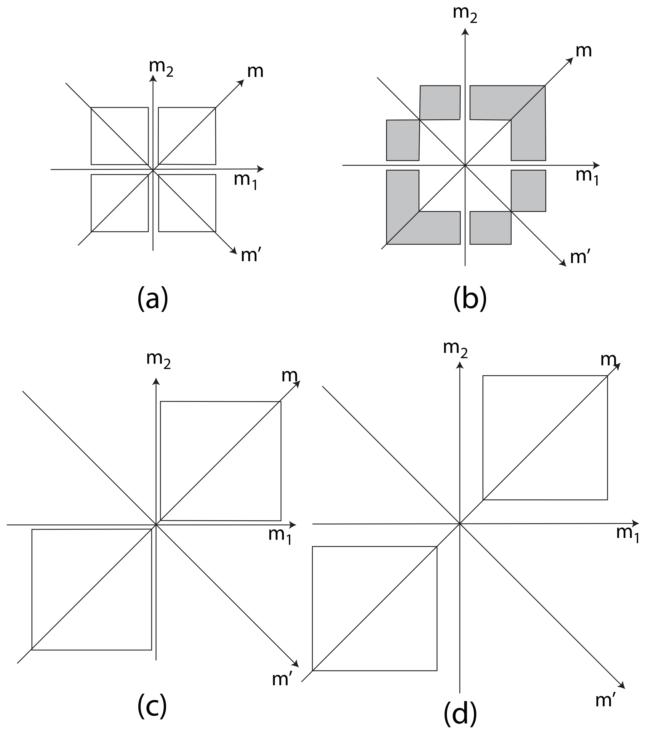 Partially Coherent Imaging in Dark-Field and Differential Phase ...