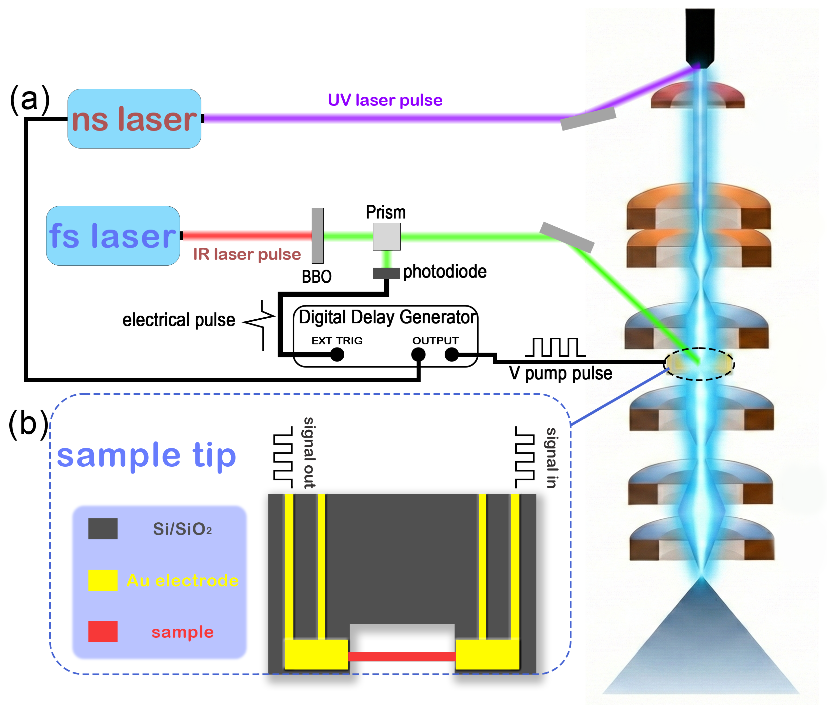 Probing Nanosecond-to-Microsecond Structural Dynamics by Ultrafast ...