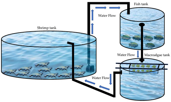 Integrating Antimicrobial Technology into Water Tanks