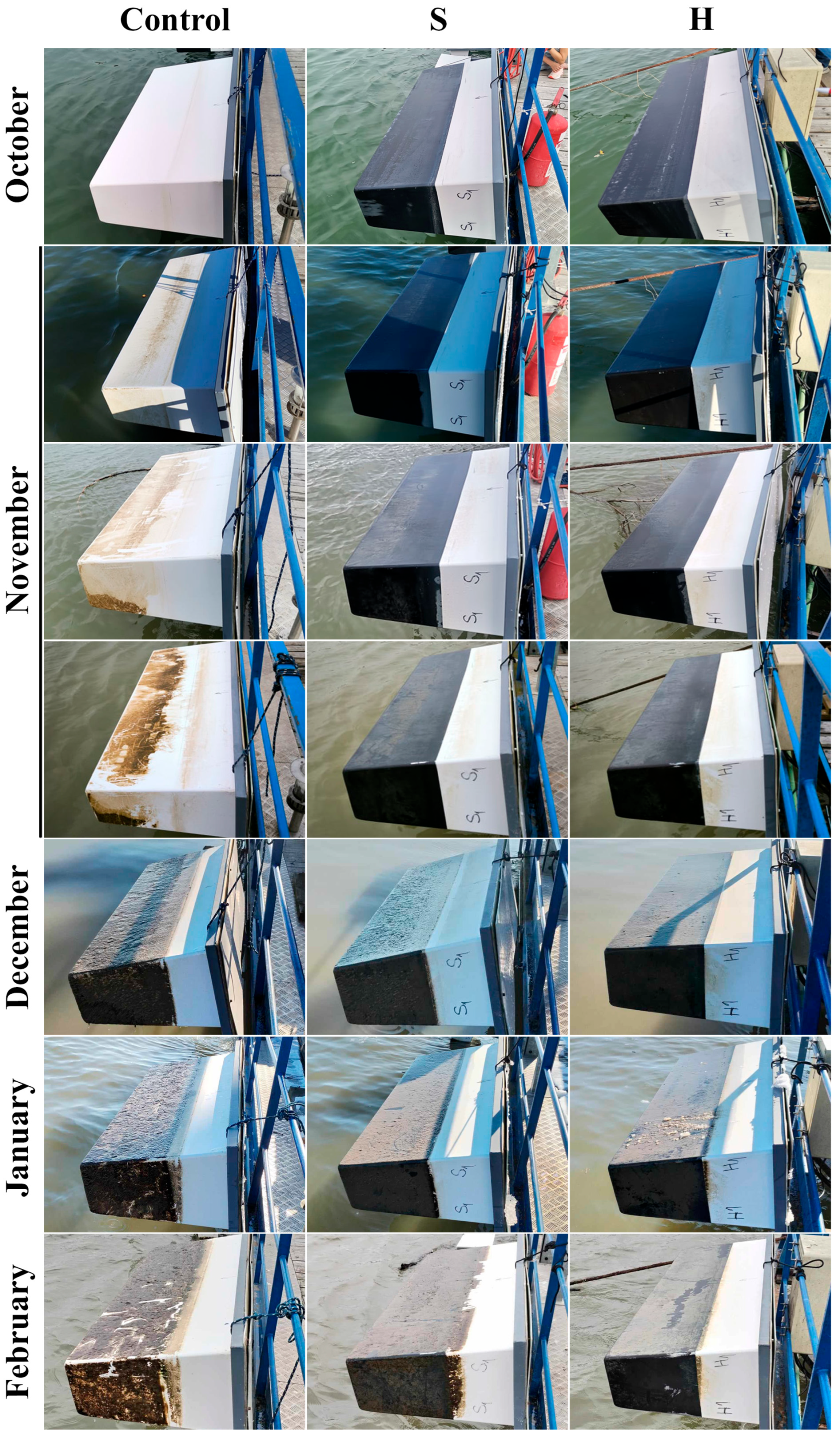 Community Composition and Dynamics of Freshwater Biofouling on Coated ...