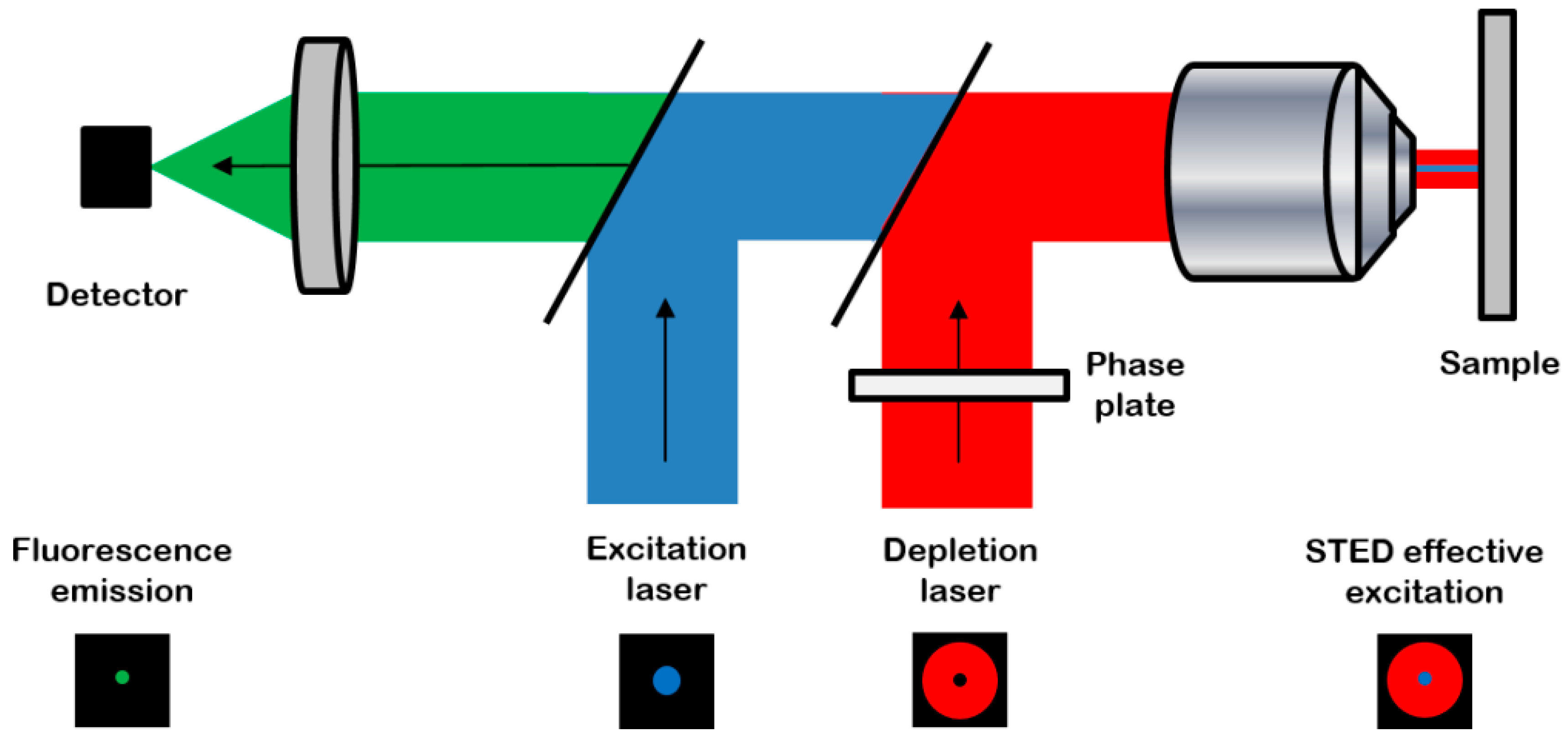Resolution Scaling In Sted Microscopy SZLHOD Resolution Scaling In Sted Microscopy SZLHOD