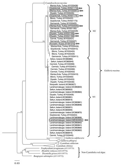 Plants | Free Full-Text | Prevalent pH Controls the Capacity of ...