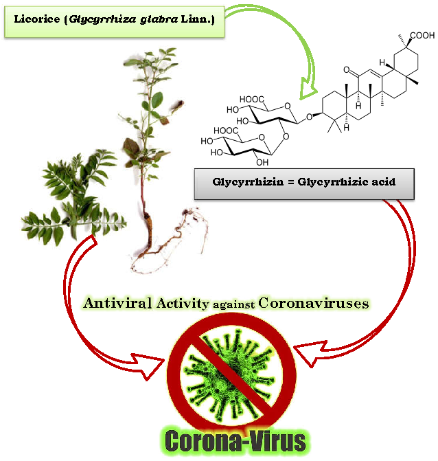 Antiviral plant extracts