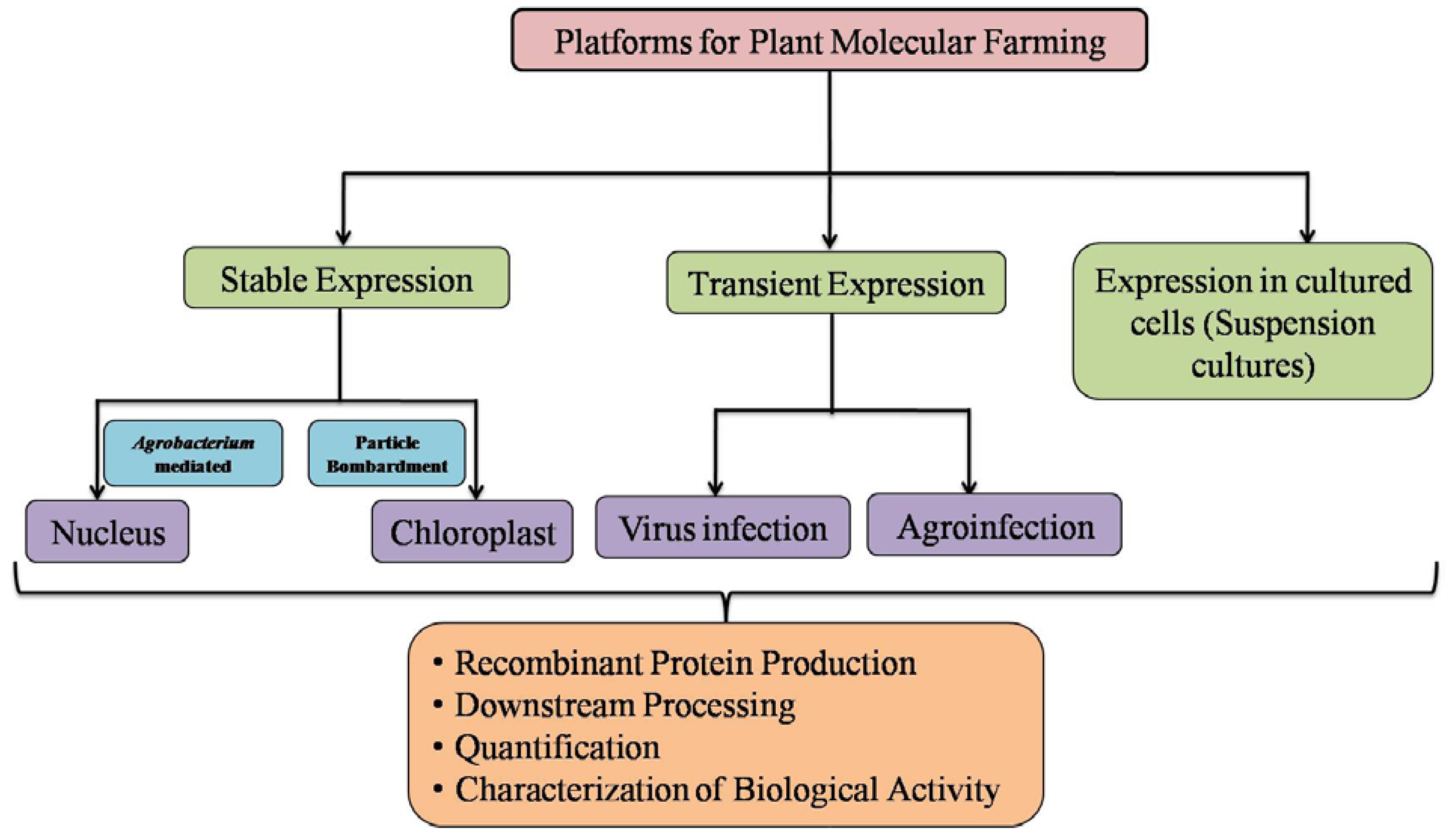 Plants | Free Full-Text | Plant Molecular Farming: A Viable Platform for  Recombinant Biopharmaceutical Production