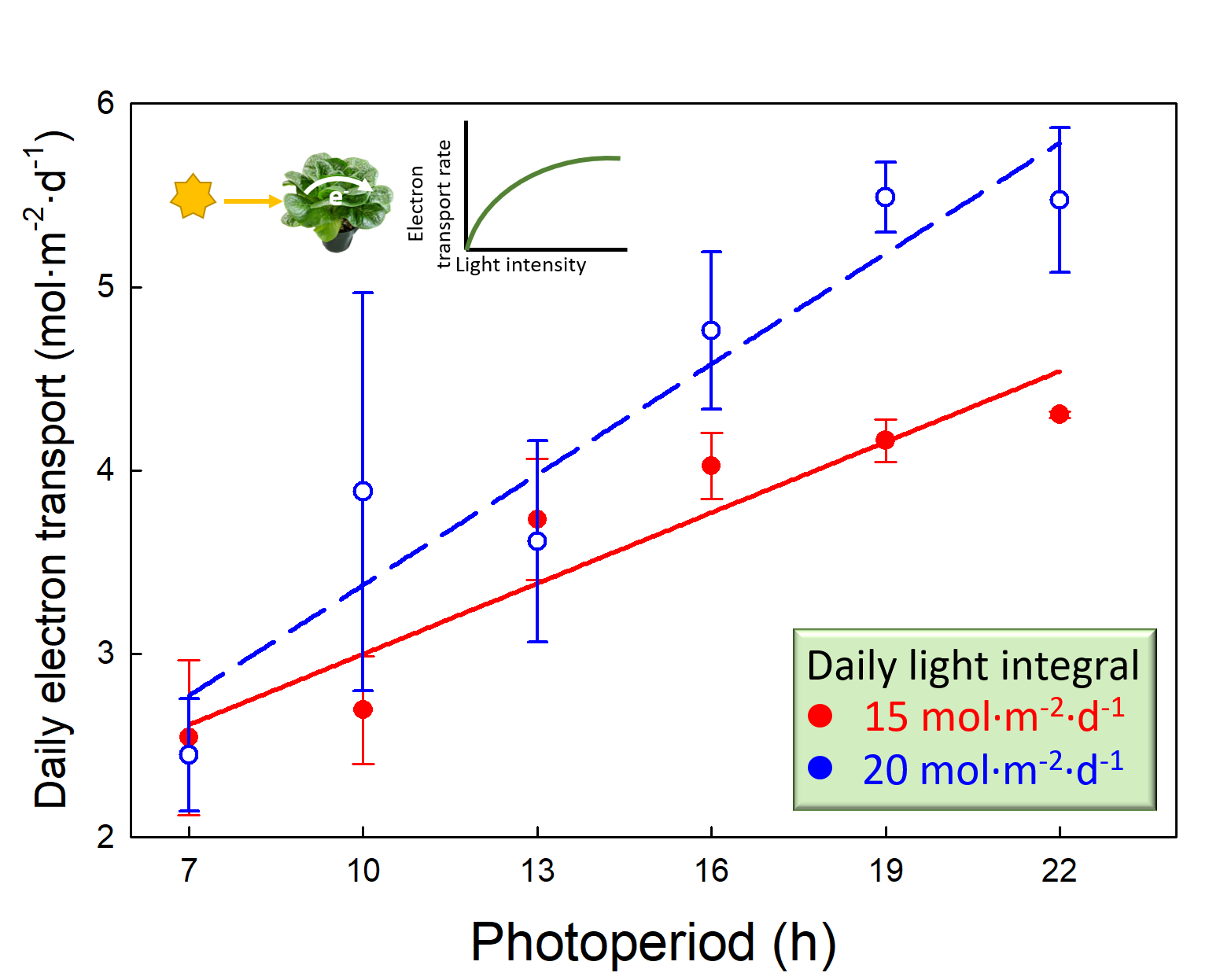 Plants | Free Full-Text | Photoperiods with the Same Daily Light Integral Increase Daily Transport through Photosystem II in Lettuce
