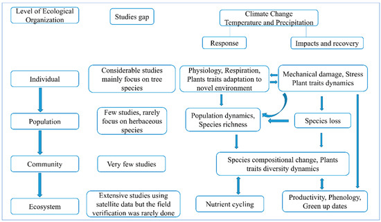 Frontiers  Growth patterns and environmental adaptions of the tree species  planted for ecological remediation in typhoon-disturbed areas—A case study  in Zhuhai, China