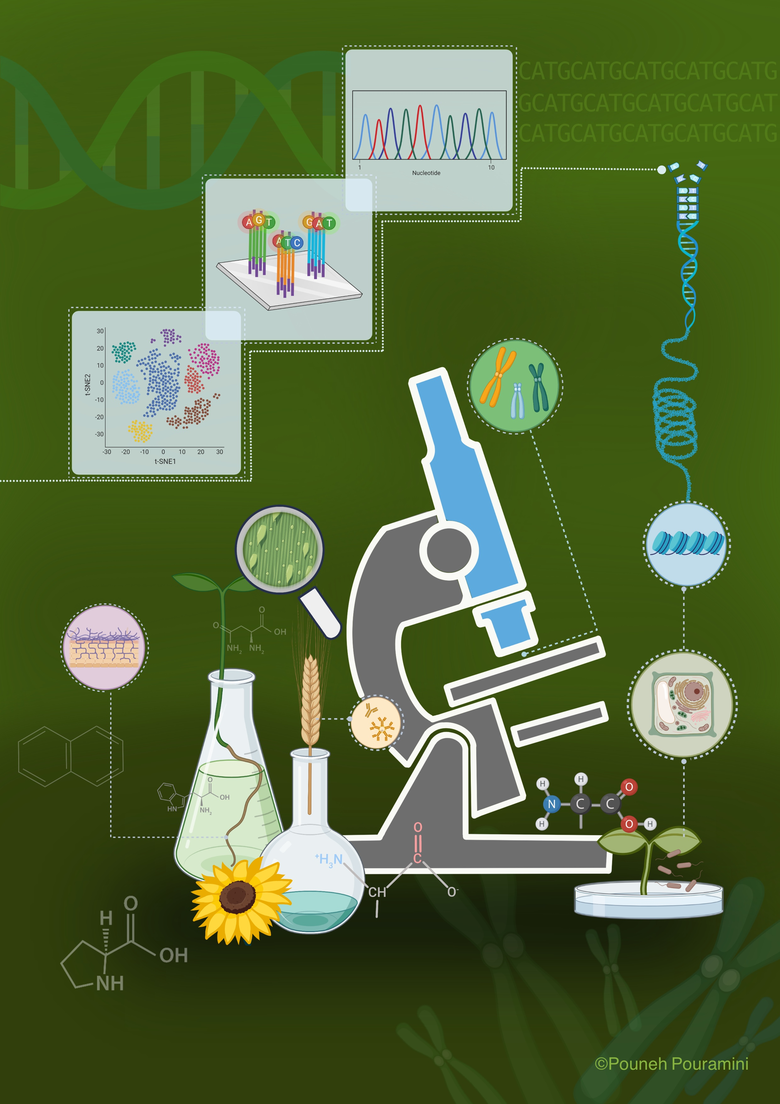 Plants | Free Full-Text | OMICs, Epigenetics, and Genome Editing Techniques  for Food and Nutritional Security