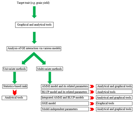 Varietal specifics of the main linear parameters of seeds