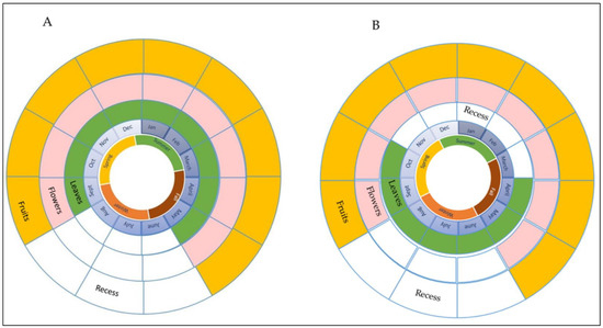 Plants | Free Full-Text | Descriptive Genomic Analysis and Sequence ...