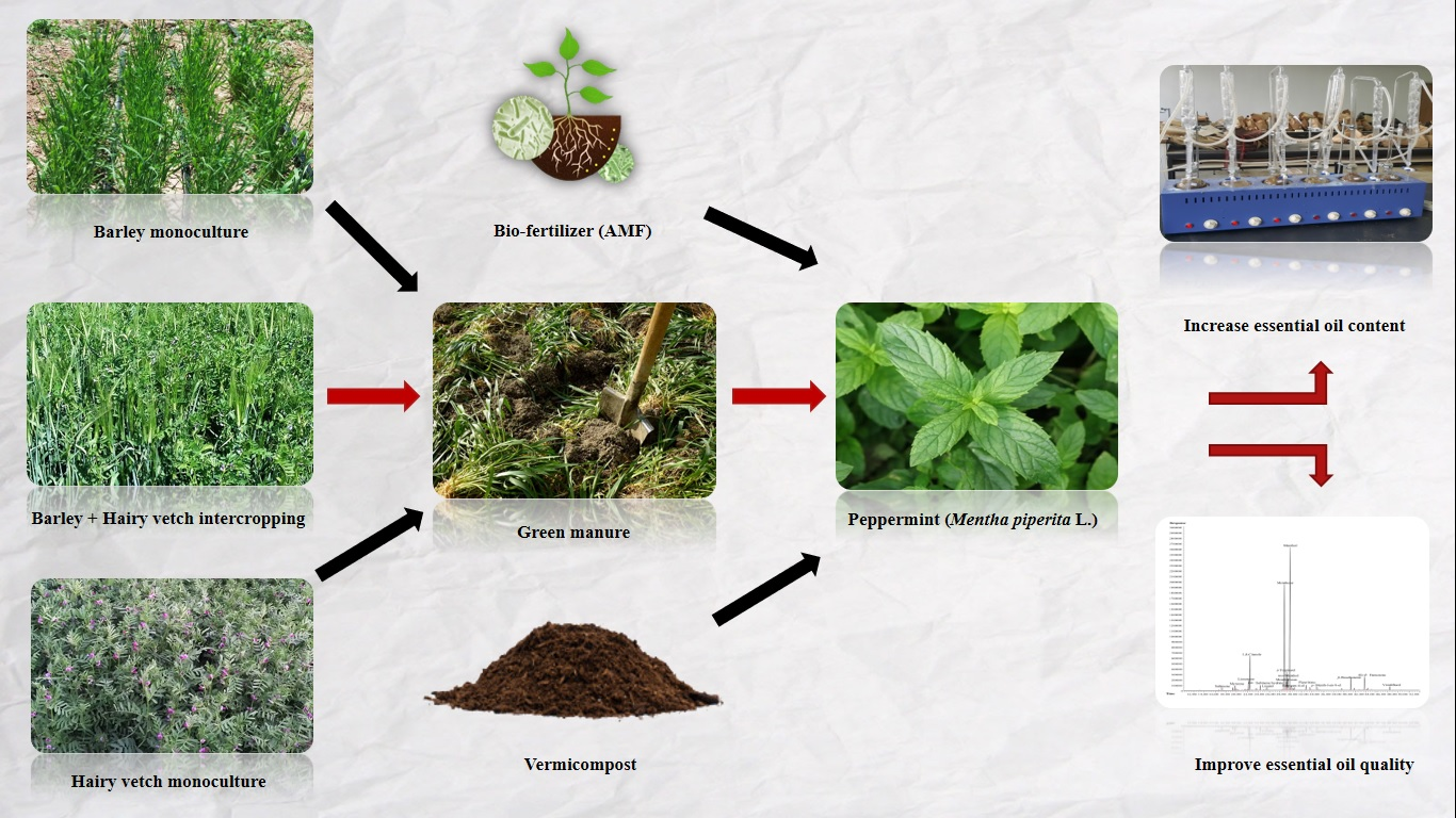Image of Green manure organic fertilizer