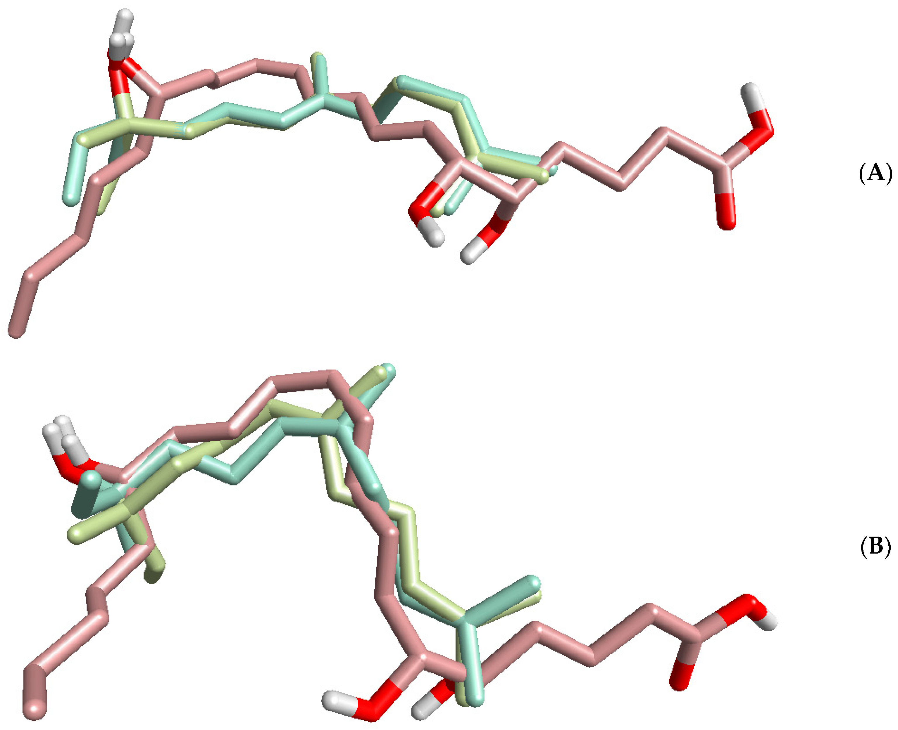 plants-free-full-text-neutrophil-immunomodulatory-activity-of