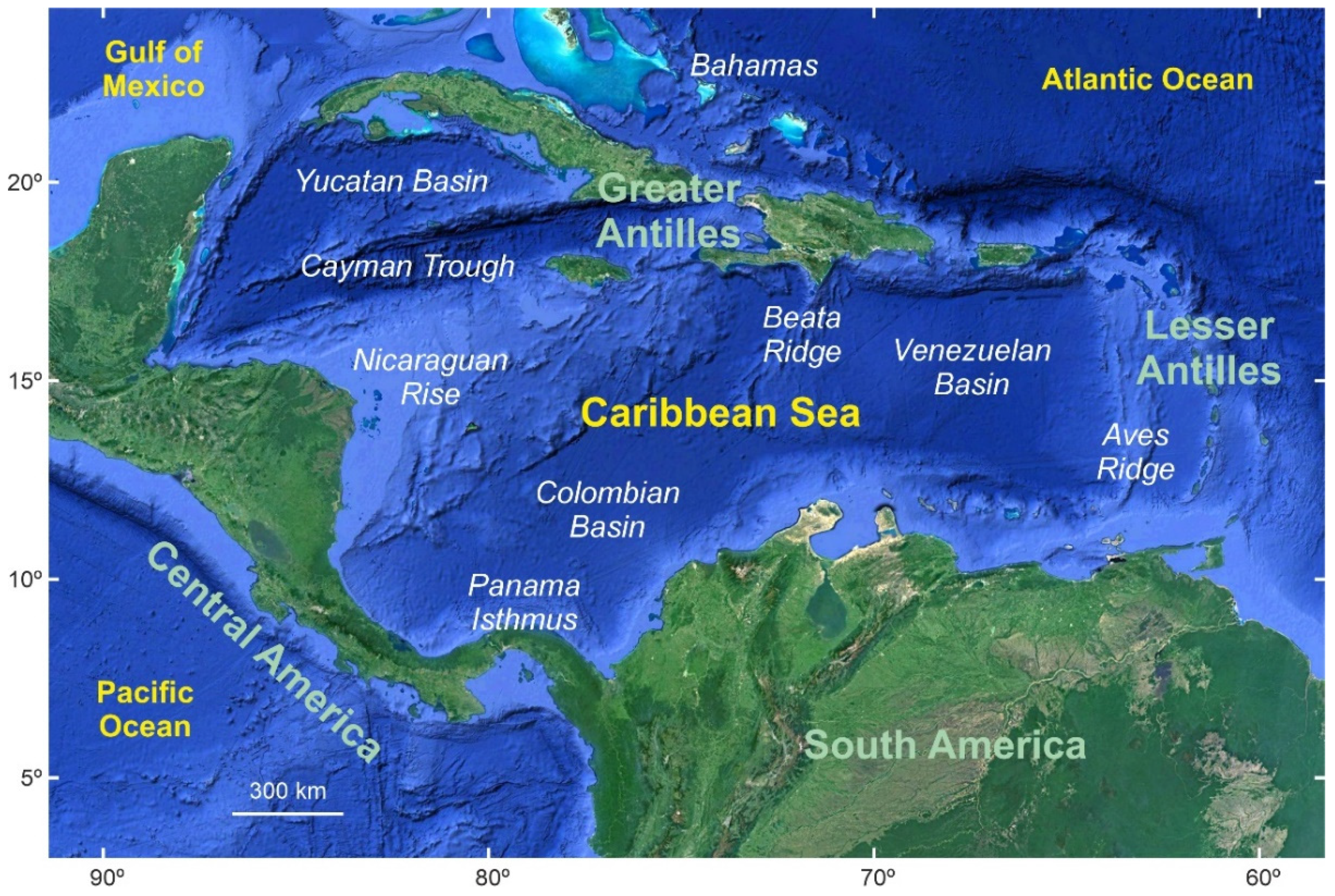 Location of the Brazilian coral-reef regions sensu Spalding et al