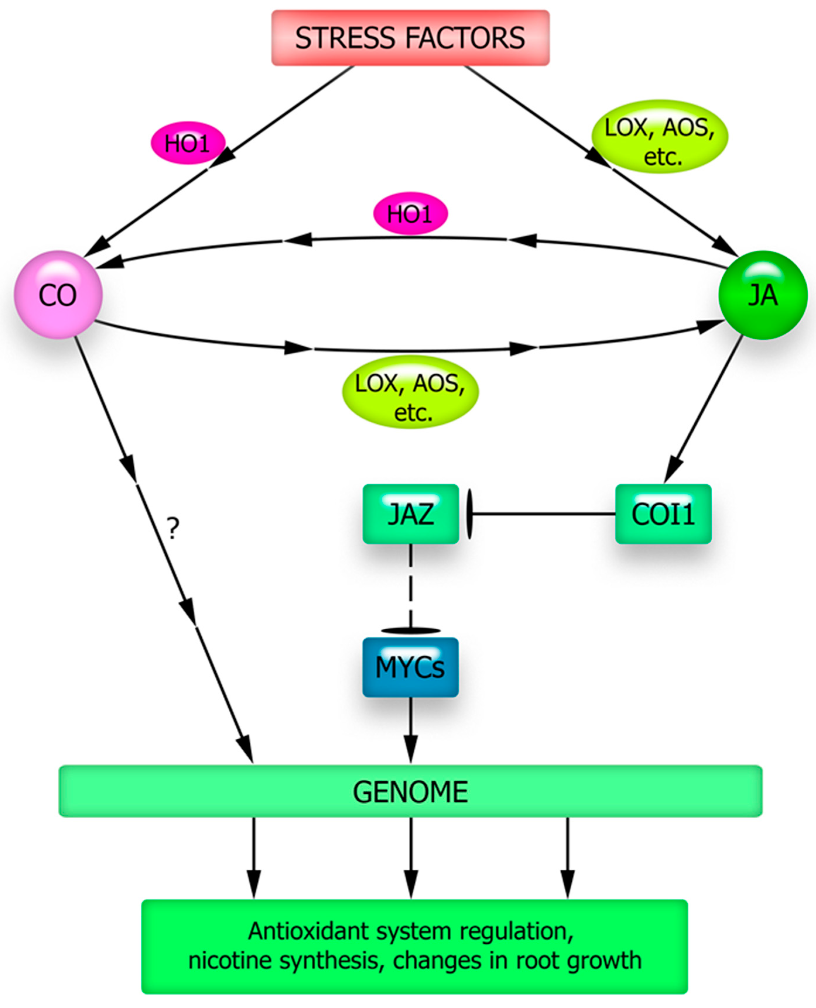 Plants | Free Full-Text | Signal Mediators in the Implementation