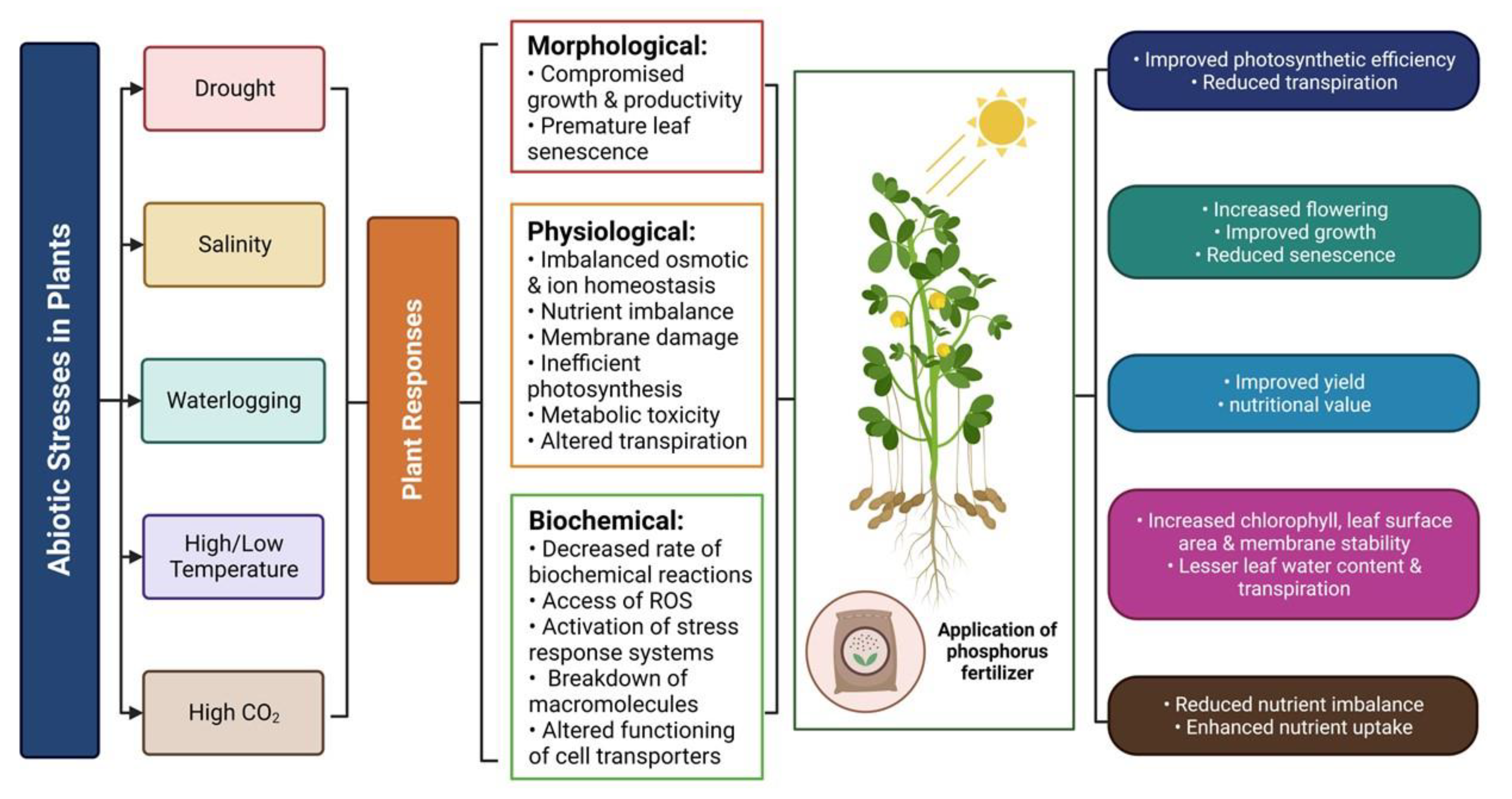 Phosphorus nitrogen Sensing And Signaling In Diverse 60 OFF Phosphorus nitrogen Sensing And Signaling In Diverse 60 OFF