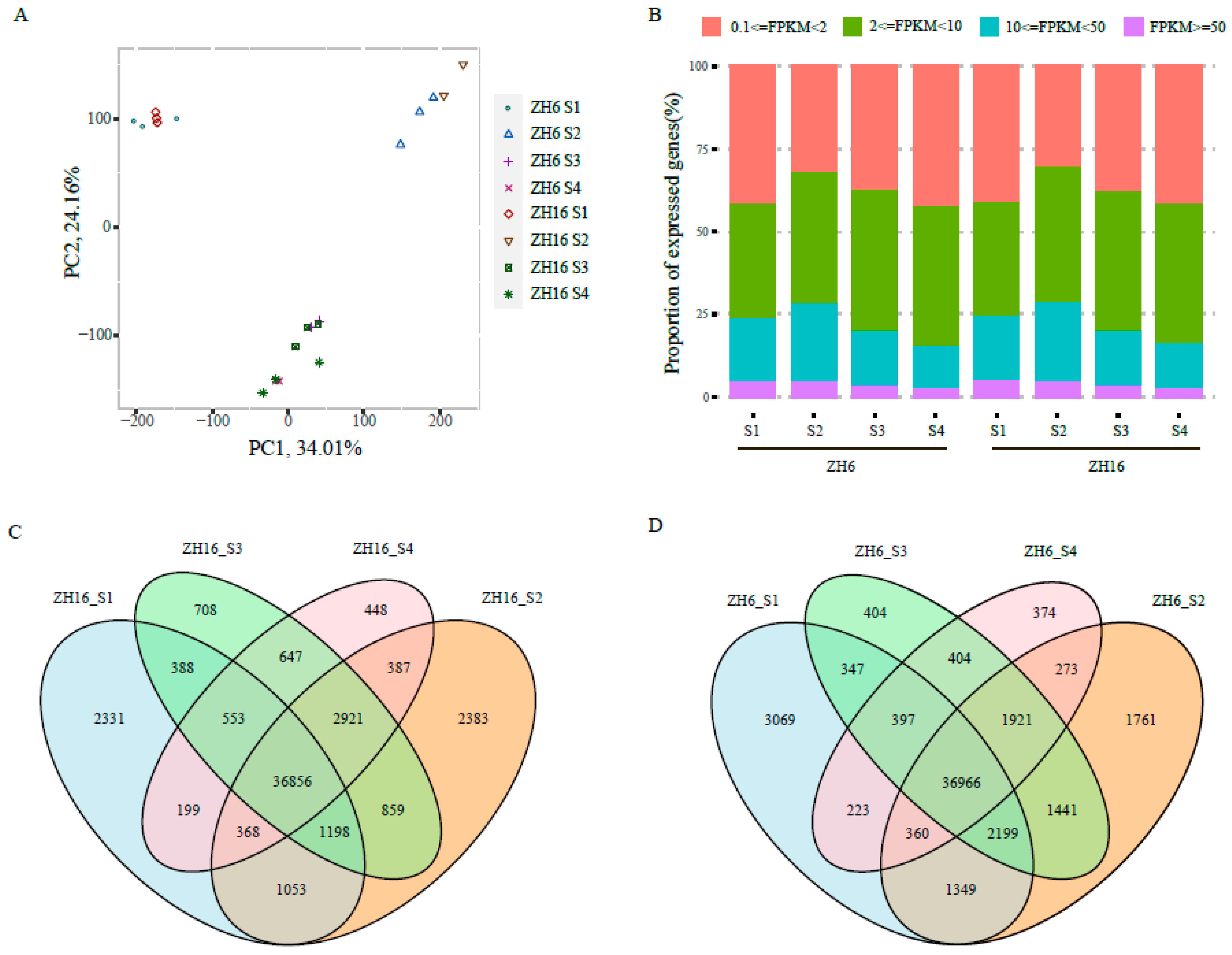 Plants | Free Full-Text | Global Transcriptome and Co-Expression ...