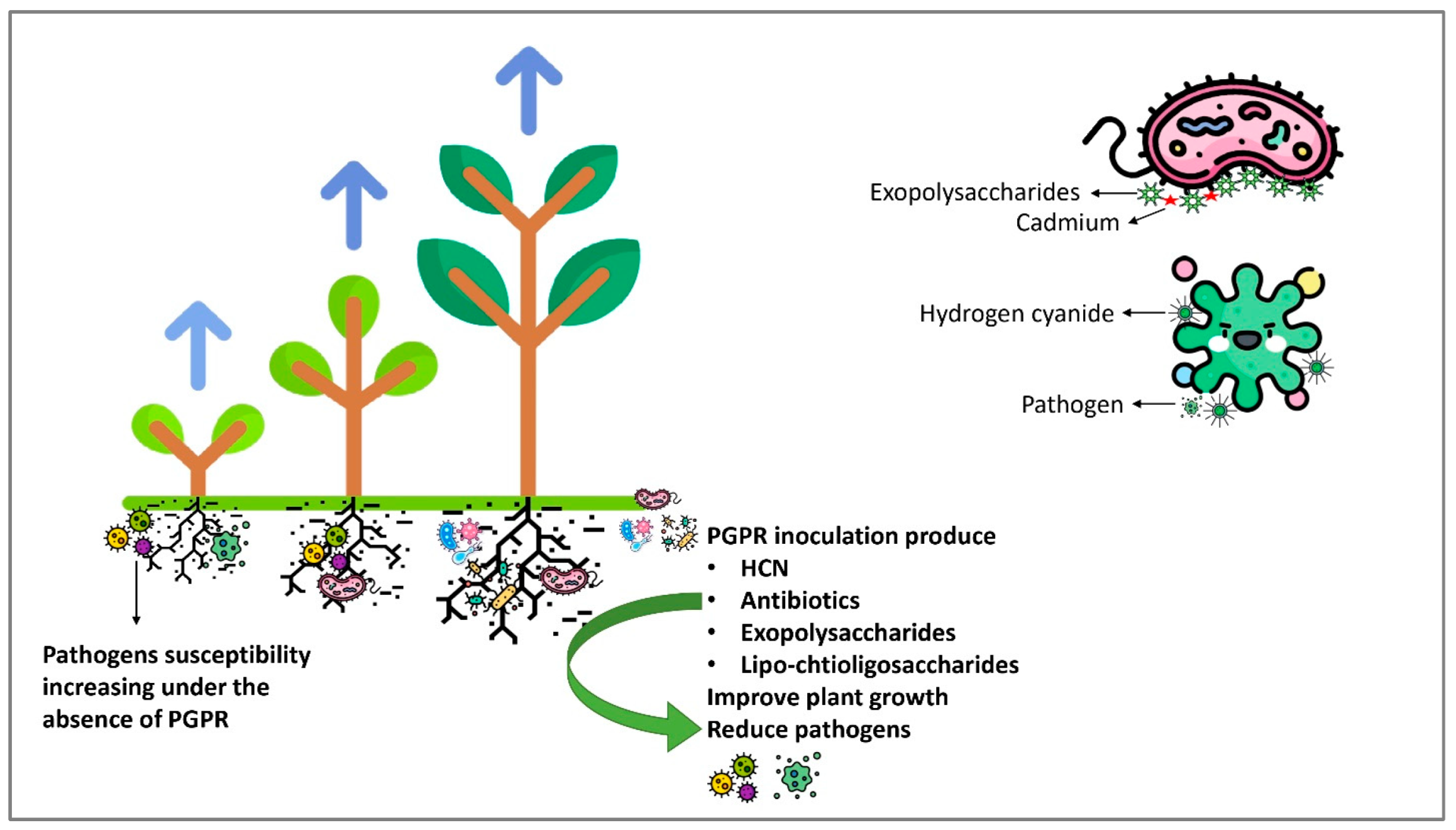 Plants | Free Full-Text | Recent Advances in Microbial-Assisted 