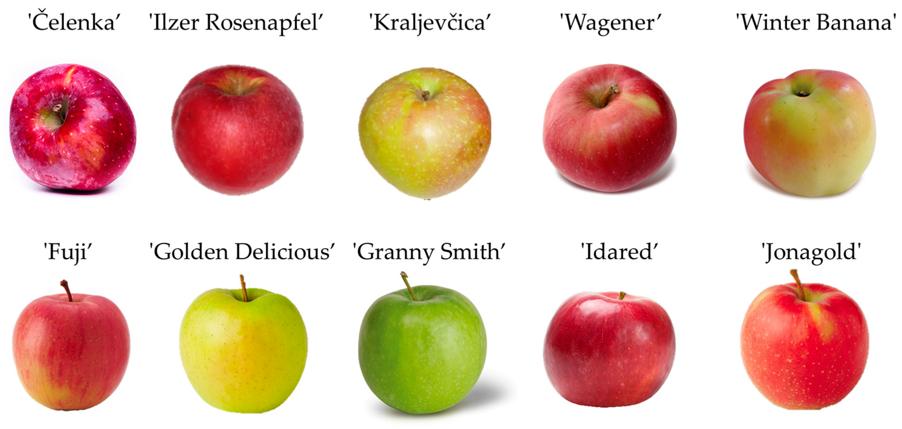 Apple - Granny Smith - tasting notes, identification, reviews