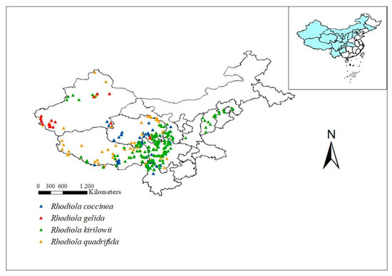 Plants | Free Full-Text | Predicting the Potential Geographical 