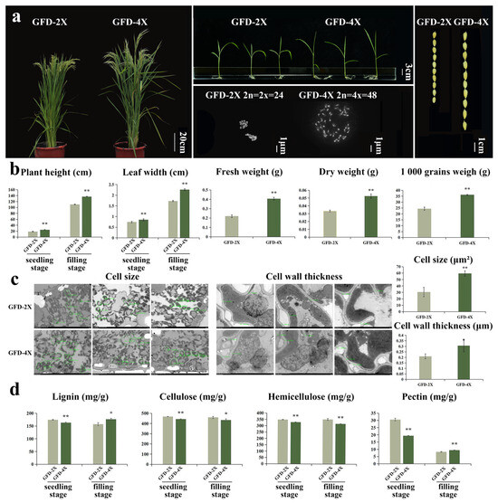 A Comparative Analysis of Major Cell Wall Components and Associated ...