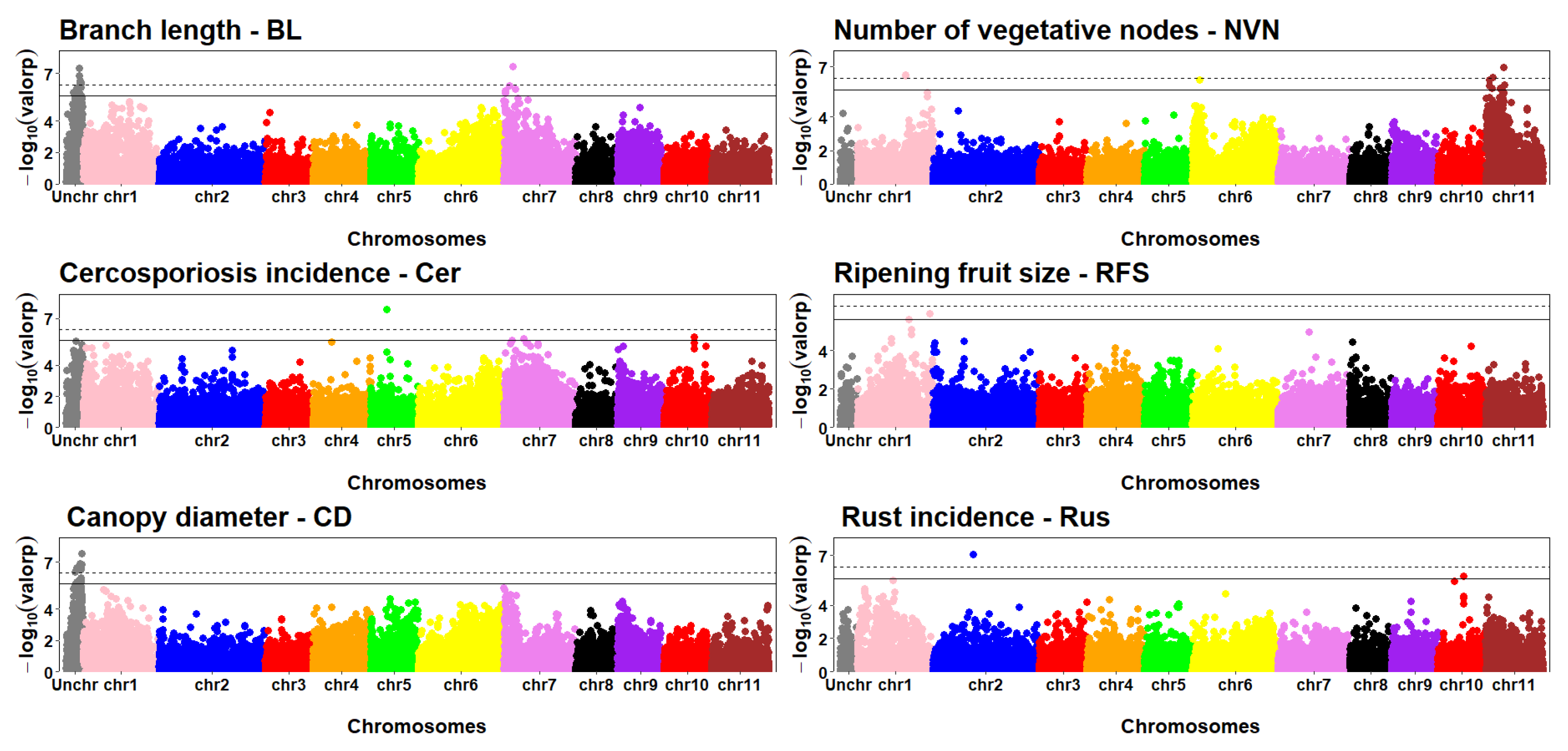 Plants | Free Full-Text | Identification of SNP Markers and Candidate ...