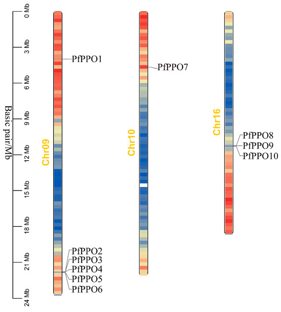 Identification and Analysis of PPO Gene Family Members in Paulownia ...