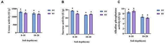 plant research paper