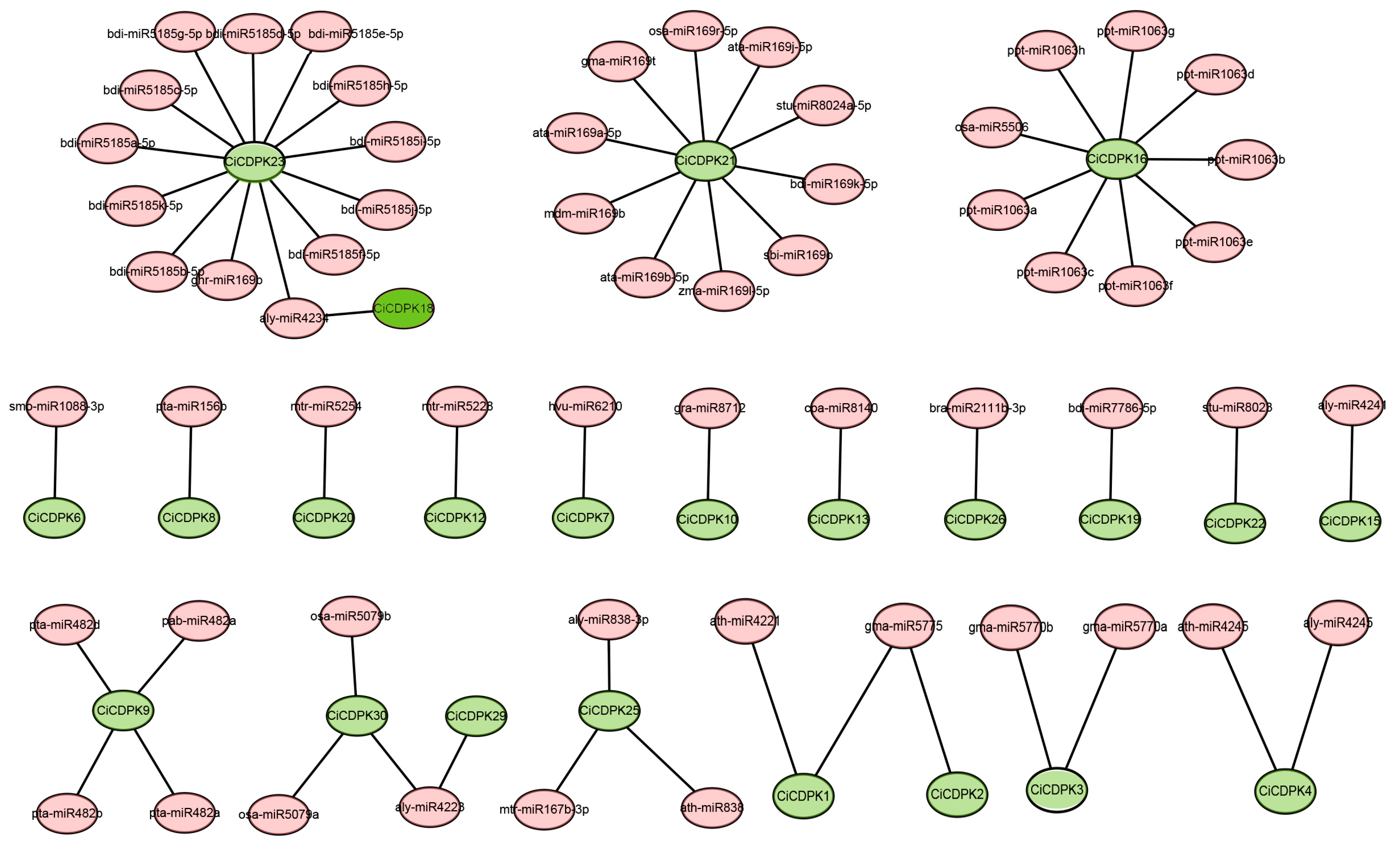 Comprehensive Genomic Analysis of the CDPK Gene Family in Pecan (Carya ...