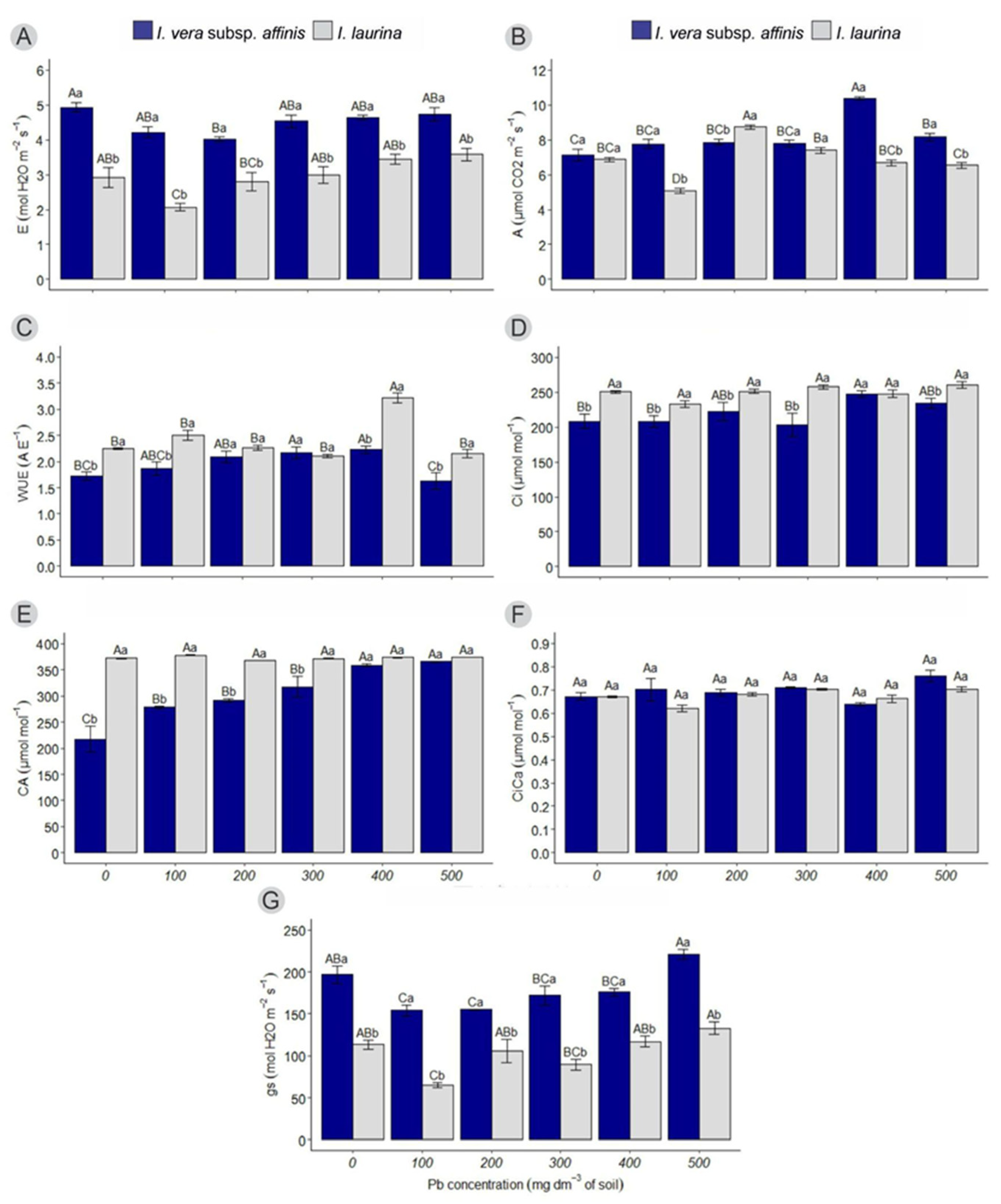 Increase in Lead (Pb) Concentration in the Soil Can Cause
